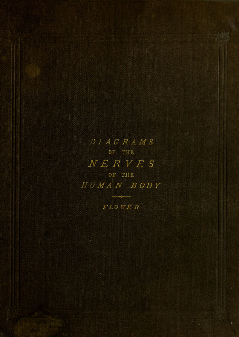 B l AG RAMS or THE N E R V E S .} ; ■ • ' i! • /;v’>• fyjY*}: r ')■••••' !.:,}• ' OF THE HUMAN. BODY FLO WE R