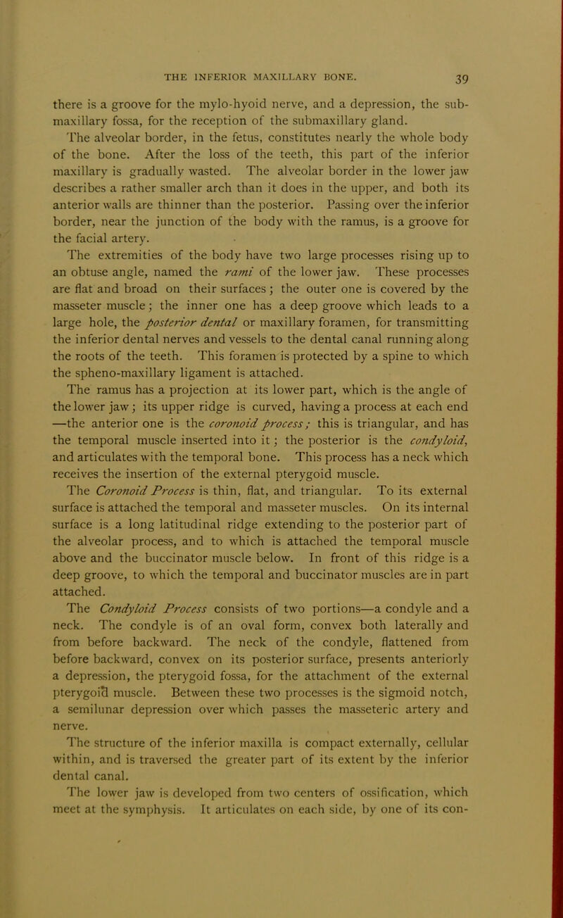 there is a groove for the mylo-hyoid nerve, and a depression, the sub- maxillary fossa, for the reception of the submaxillary gland. The alveolar border, in the fetus, constitutes nearly the whole body of the bone. After the loss of the teeth, this part of the inferior maxillary is gradually wasted. The alveolar border in the lower jaw describes a rather smaller arch than it does in the upper, and both its anterior walls are thinner than the posterior. Passing over the inferior border, near the junction of the body with the ramus, is a groove for the facial artery. The extremities of the body have two large processes rising up to an obtuse angle, named the rami of the lower jaw. These processes are flat and broad on their surfaces ; the outer one is covered by the masseter muscle; the inner one has a deep groove which leads to a large hole, the posterior dental or maxillary foramen, for transmitting the inferior dental nerves and vessels to the dental canal running along the roots of the teeth. This foramen is protected by a spine to which the spheno-maxillary ligament is attached. The ramus has a projection at its lower part, which is the angle of the lower jaw; its upper ridge is curved, having a process at each end —the anterior one is the coronoid process; this is triangular, and has the temporal muscle inserted into it; the posterior is the condyloid, and articulates with the temporal bone. This process has a neck which receives the insertion of the external pterygoid muscle. The Coronoid Process is thin, flat, and triangular. To its external surface is attached the temporal and masseter muscles. On its internal surface is a long latitudinal ridge extending to the posterior part of the alveolar process, and to which is attached the temporal muscle above and the buccinator muscle below. In front of this ridge is a deep groove, to which the temporal and buccinator muscles are in part attached. The Condyloid Process consists of two portions—a condyle and a neck. The condyle is of an oval form, convex both laterally and from before backward. The neck of the condyle, flattened from before backward, convex on its posterior surface, presents anteriorly a depression, the pterygoid fossa, for the attachment of the external pterygoid muscle. Between these two processes is the sigmoid notch, a semilunar depression over which passes the masseteric artery and nerve. The structure of the inferior maxilla is compact externally, cellular within, and is traversed the greater part of its extent by the inferior dental canal. The lower jaw is developed from two centers of ossification, which meet at the symphysis. It articulates on each side, by one of its con-