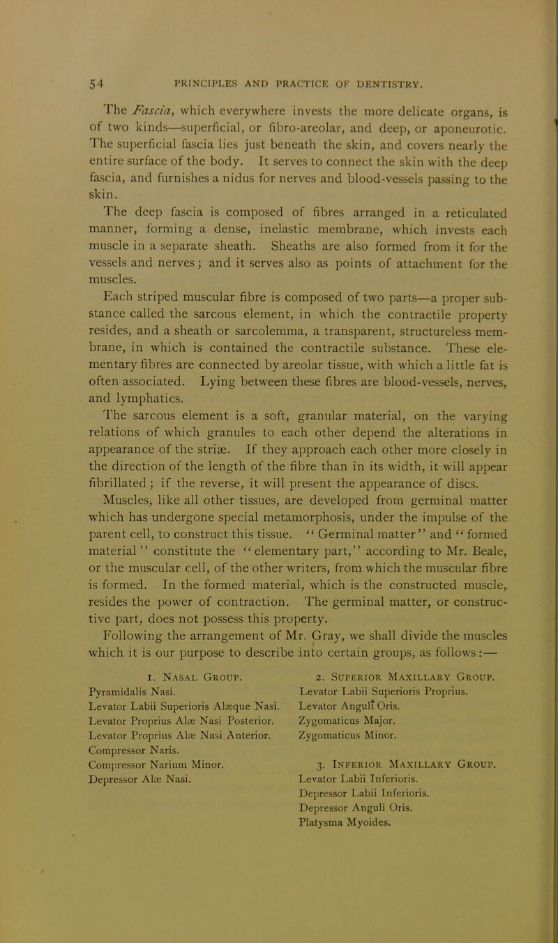 The Fascia, which everywhere invests the more delicate organs, is of two kinds—superficial, or fibro-areolar, and deep, or aponeurotic. The superficial fascia lies just beneath the skin, and covers nearly the entire surface of the body. It serves to connect the skin with the deep fascia, and furnishes a nidus for nerves and blood-vessels passing to the skin. The deep fascia is composed of fibres arranged in a reticulated manner, forming a dense, inelastic membrane, which invests each muscle in a separate sheath. Sheaths are also formed from it for the vessels and nerves; and it serves also as points of attachment for the muscles. Each striped muscular fibre is composed of two parts—a proper sub- stance called the sarcous element, in which the contractile property resides, and a sheath or sarcolemma, a transparent, structureless mem- brane, in which is contained the contractile substance. These ele- mentary fibres are connected by areolar tissue, with which a little fat is often associated. Lying between these fibres are blood-vessels, nerves, and lymphatics. The sarcous element is a soft, granular material, on the varying relations of which granules to each other depend the alterations in appearance of the striae. If they approach each other more closely in the direction of the length of the fibre than in its width, it will appear fibrillated; if the reverse, it will present the appearance of discs. Muscles, like all other tissues, are developed from germinal matter which has undergone special metamorphosis, under the impulse of the parent cell, to construct this tissue.  Germinal matter and  formed material  constitute the  elementary part, according to Mr. Beale, or the muscular cell, of the other writers, from which the muscular fibre is formed. In the formed material, which is the constructed muscle,, resides the power of contraction. The germinal matter, or construc- tive part, does not possess this property. Following the arrangement of Mr. Gray, we shall divide the muscles which it is our purpose to describe into certain groups, as follows:— i. Nasal Group. Pyramidalis Nasi. Levator Labii Superioris Alaeque Nasi. Levator Proprius Alse Nasi Posterior. Levator Proprius Alse Nasi Anterior. Compressor Naris. Compressor Narium Minor. Depressor Alse Nasi. 2. Superior Maxillary Group. Levator Labii Superioris Proprius. Levator Anguli Oris. Zygomaticus Major. Zygomaticus Minor. 3. Inferior Maxillary Group. Levator Labii Tnferioris. Depressor Labii Inferioris. Depressor Anguli Oris. Platysma Myoides.