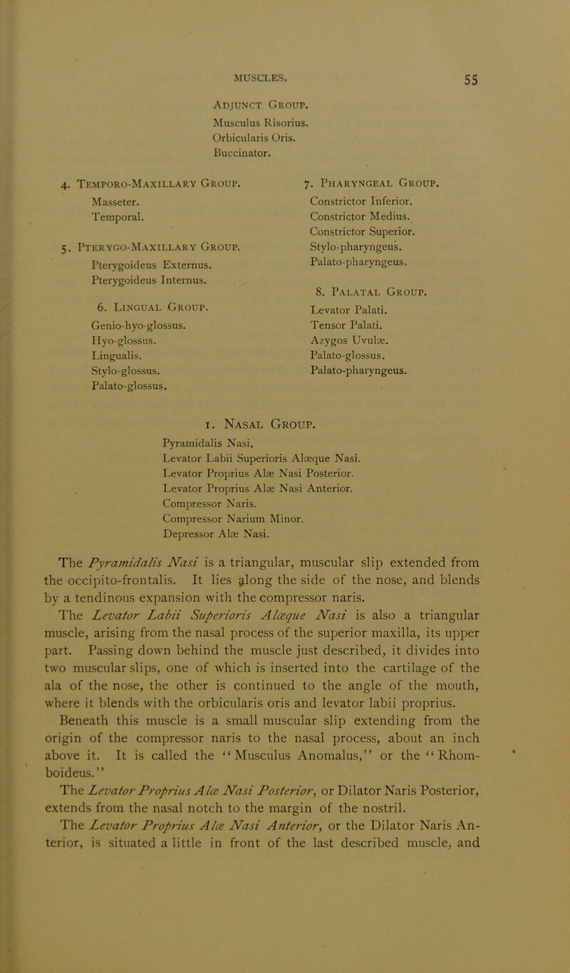 Adjunct Group. Musculus Risorius. Orbicularis Oris. Buccinator. 4. Temporo-Maxillary Group. Masseter. Temporal. 5. Pterygo-Maxillary Group. Pterygoideus Externus. Pterygoideus Internus. 6. Lingual Group. Genio hyo-glossus. Hyo-glossus. Lingualis. Stylo-glossus. Palato-glossus. 7. Pharyngeal Group. Constrictor Inferior. Constrictor Medius. Constrictor Superior. Stylo-pharyngeus. Palato-pharyngeus. 8. Palatal Group. Levator Palati. Tensor Palati. Azygos Uvulae. Palato-glossus. Palato-pharyngeus. i. Nasal Group. Pyramidalis Nasi. Levator Labii Superioris Aloeque Nasi. Levator Proprius Alse Nasi Posterior. Levator Proprius Alae Nasi Anterior. Compressor Naris. Compressor Narium Minor. Depressor Alae Nasi. The Pyramidalis Nasi is a triangular, muscular slip extended from the occipito-frontalis. It lies along the side of the nose, and blends by a tendinous expansion with the compressor naris. The Levator Labii Superioris Alceqice Nasi is also a triangular muscle, arising from the nasal process of the superior maxilla, its upper part. Passing down behind the muscle just described, it divides into two muscular slips, one of which is inserted into the cartilage of the ala of the nose, the other is continued to the angle of the mouth, where it blends with the orbicularis oris and levator labii proprius. Beneath this muscle is a small muscular slip extending from the origin of the compressor naris to the nasal process, about an inch above it. It is called the Musculus Anomalus, or the  Rhom- boideus. The Levator Proprius Ala; Nasi Posterior, or Dilator Naris Posterior, extends from the nasal notch to the margin of the nostril. The Levator Proprius Ala; Nasi Anterior, or the Dilator Naris An- terior, is situated a little in front of the last described muscle, and