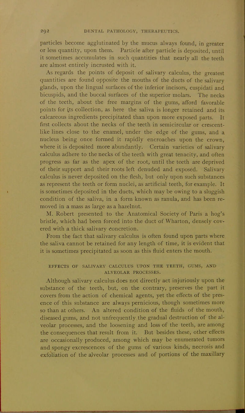 particles become agglutinated by the mucus always found, in greater or less quantity, upon them. Particle after particle is deposited, until it sometimes accumulates in such quantities that nearly all the teeth are almost entirely incrusted with it. As regards the points of deposit of salivary calculus, the greatest quantities are found opposite the mouths of the ducts of the salivary glands, upon the lingual surfaces of the inferior incisors, cuspidati and bicuspids, and the buccal surfaces of the superior molars. The necks of the teeth, about the free margins of the gums, afford favorable points for ;ts collection, as here the saliva is longer retained and its calcareous ingredients precipitated than upon more exposed parts. It first collects about the necks of the teeth in semicircular or crescent- like lines close to the enamel, under the edge of the gums, and a nucleus being once formed it rapidly encroaches upon the crown, where it is deposited more abundantly. Certain varieties of salivary calculus adhere to the necks of the teeth with great tenacity, and often progress as far as the apex of the root, until the teeth are deprived of their support and their roots left denuded and exposed. Salivary calculus is never deposited on the flesh, but only upon such substances as represent the teeth or form nuclei, as artificial teeth, for example. It is sometimes deposited in the ducts, which may be owing to a sluggish condition of the saliva, in a form known as ranula, and has been re- moved in a mass as large as a hazelnut. M. Robert presented to the Anatomical Society of Paris a hog's bristle, which had been forced into the duct of Wharton, densely cov- ered with a thick salivary concretion. From the fact that salivary calculus is often found upon parts where the saliva cannot be retained for any length of time, it is evident that it is sometimes precipitated as soon as this fluid enters the mouth. EFFECTS OF SALIVARY CALCULUS UPON THE TEETH, GUMS, AND ALVEOLAR PROCESSES. Although salivary calculus does not directly act injuriously upon the substance of the teeth, but, on the contrary, preserves the part it covers from the action of chemical agents, yet the effects of the pres- ence of this substance are always pernicious, though sometimes more so than at others. An altered condition of the fluids of the mouth, diseased gums, and not unfrequently the gradual destruction of the al- veolar processes, and the loosening and loss of the teeth, are among the consequences that result from it. But besides these, other effects are occasionally produced, among which may be enumerated tumors and spongy excrescences of the gums of various kinds, necrosis and exfoliation of the alveolar processes and of portions of the maxillary