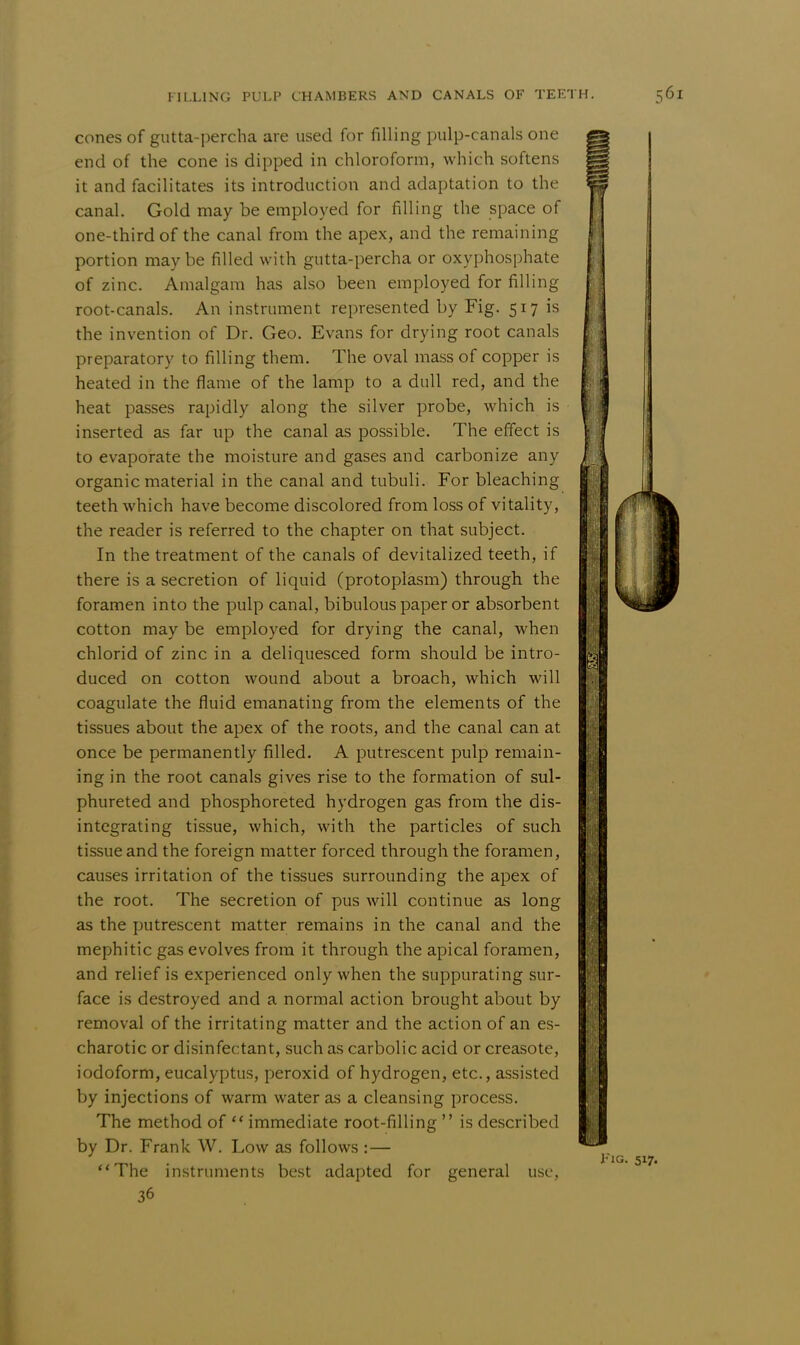 cones of gutta-percha are used for filling pulp-canals one end of the cone is dipped in chloroform, which softens it and facilitates its introduction and adaptation to the canal. Gold may be employed for filling the space of one-third of the canal from the apex, and the remaining portion maybe filled with gutta-percha or oxyphosphate of zinc. Amalgam has also been employed for filling root-canals. An instrument represented by Fig. 517 is the invention of Dr. Geo. Evans for drying root canals preparatory to filling them. The oval mass of copper is heated in the flame of the lamp to a dull red, and the heat passes rapidly along the silver probe, which is inserted as far up the canal as possible. The effect is to evaporate the moisture and gases and carbonize any organic material in the canal and tubuli. For bleaching teeth which have become discolored from loss of vitality, the reader is referred to the chapter on that subject. In the treatment of the canals of devitalized teeth, if there is a secretion of liquid (protoplasm) through the foramen into the pulp canal, bibulous paper or absorbent cotton may be employed for drying the canal, when chlorid of zinc in a deliquesced form should be intro- duced on cotton wound about a broach, which will coagulate the fluid emanating from the elements of the tissues about the apex of the roots, and the canal can at once be permanently filled. A putrescent pulp remain- ing in the root canals gives rise to the formation of sul- phureted and phosphoreted hydrogen gas from the dis- integrating tissue, which, with the particles of such tissue and the foreign matter forced through the foramen, causes irritation of the tissues surrounding the apex of the root. The secretion of pus will continue as long as the putrescent matter remains in the canal and the mephitic gas evolves from it through the apical foramen, and relief is experienced only when the suppurating sur- face is destroyed and a normal action brought about by removal of the irritating matter and the action of an es- charotic or disinfectant, such as carbolic acid or creasote, iodoform, eucalyptus, peroxid of hydrogen, etc., assisted by injections of warm water as a cleansing process. The method of 11 immediate root-filling  is described by Dr. Frank W. Low as follows : — The instruments best adapted for general use, 36 III