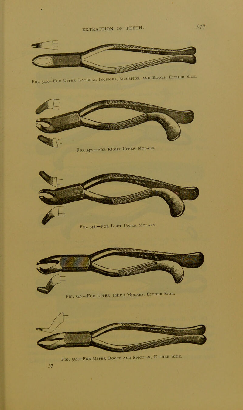 Fig. 550.—For Upper Roots and Spicule, Eith 37
