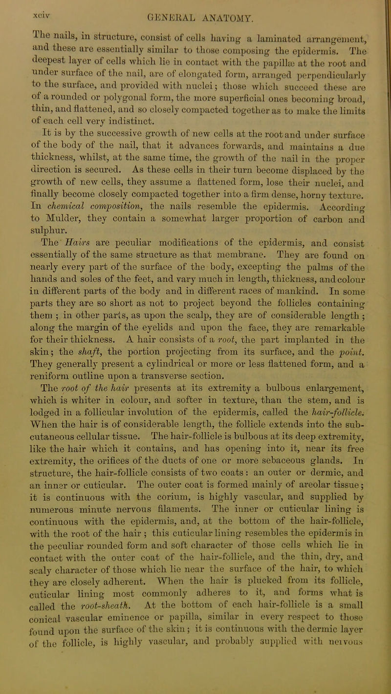 I lie nails, in structure, consist of cells having a laminated arrangement, and these are essentially similar to those composing the epidermis. The deepest layer of cells which lie in contact with the papillae at the root and under surface of the nail, are of elongated form, arranged perpendicularly to the surface, and provided with nuclei; those which succeed these are of a rounded or polygonal form, the more superficial ones becoming broad, thin, and flattened, and so closely compacted together as to make the limits of each cell very indistinct. It is by the successive growth of new cells at the root and under surface of the body of the nail, that it advances forwards, and maintains a due thickness, whilst, at the same time, the growth of the nail in the proper direction is secured. As these cells in their turn become displaced by the growth of new cells, they assume a flattened form, lose their nuclei, and finally become closely compacted together into a firm dense, horny texture. In chemical composition, the nails resemble the epidermis. According to Mulder, they contain a somewhat larger proportion of carbon and sulphur. The' Hairs are peculiar modifications of the epidermis, and consist essentially of the same structure as that membrane. They are found on nearly every part of the surface of the body, excejoting the palms of the hands and soles of the feet, and vary much in length, thickness, and colour in different parts of the body and in different races of mankind. In some parts they are so short as not to project beyond the follicles containing them ; in other parts, as upon the scalp, they are of considerable length ; along the margin of the eyelids and upon the face, they are remarkable for their thickness. A hair consists of a root, the part implanted in the skin; the shaft, the portion projecting from its surface, and the point. They generally present a cylindrical or more or less flattened form, and a reniform outline upon a transverse section. The root of the hair presents at its extremity a bulbous enlargement, which is whiter in colour, and softer in texture, than the stem, and is lodged in a follicular involution of the epidermis, called the hair-follicle. When the hair is of considerable length, the follicle extends into the sub- cutaneous cellular tissue. The hair-follicle is bulbous at its deep extremity, like the hair which it contains, and has opening into it, near its free extremity, the orifices of the ducts of one or more sebaceous glands. In structure, the hair-follicle consists of two coats: an outer or dermic, and an inner or cuticular. The outer coat is formed mainly of areolar tissue; it is continuous with the corium, is highly vascular, and supplied by numerous minute nervous filaments. The inner or cuticular lining is continuous with the epidermis, and, at the bottom of the hair-follicle, with the root of the hair ; this cuticular lining resembles the epidermis in the peculiar rounded form and soft character of those cells which lie in contact with the outer coat of the hair-follicle, and the thin, dry, and scaly character of those which lie near the surface of the hair, to which they are closely adherent. When the hair is plucked from its follicle, cuticular lining most commonly adheres to it, and forms what is called the root-sheath. At the bottom of each hair-follicle is a small conical vascular eminence or papilla, similar in every respect to those found upon the surface of the skin; it is continuous with the dermic layer of the follicle, is highly vascular, and probably supplied with neivous