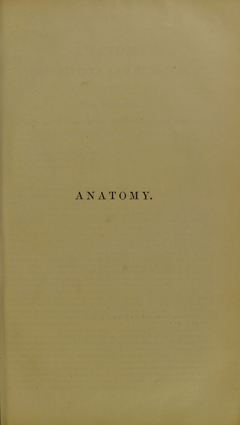 ANATOMY.