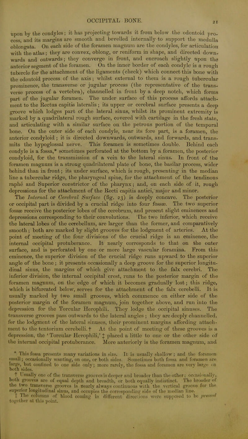 2 I upon by the condyles; it has projecting towards it from below the odontoid pro- cess, and its margins are smooth and bevelled internally to support the medulla oblongata. On each side of the foramen magnum are the condyles, for articulation with the atlas; they are convex, oblong, or reniform in shape, and directed down- wards and outwards; they converge in front, and encroach slightly Upon the anterior segment of the foramen. On the inner border of each condyle is a rough tubercle for the attachment of the ligaments (check) which connect this bone with the odontoid process of the axis ; whilst external to them is a rough tubercular prominence, the transverse or jugular process (the representative of the trans- verse process of a vertebra), channelled in front by a deep notch, which forms part of the jugular foramen. The under surface of this process affords attach- ment to the Rectus capitis lateralis ; its upper or cerebral surface presents a deep groove which lodges part of the lateral sinus, whilst its prominent extremity is marked by a quadrilateral rough surface, covered with cartilage in the fresh state, and articulating with a similar surface on the petrous portion of the temporal bone. On the outer side of each condyle, near its fore part, is a foramen, the anterior condyloid ; it is directed downwards, outwards, and forwards, and trans- mits the hypoglossal nerve. This foramen is sometimes double. Behind each condyle is a fossa,* sometimes perforated at the bottom by a foramen, the posterior condyloid, for the transmission of a vein to the lateral sinus. In front of the foramen magnum is a strong quadrilateral plate of bone, the basilar process, wider behind than in front; its under surface, which is rough, presenting in the median line a tubercular ridge, the pharyngeal spine, for the attachment of the tendinous raphe and Superior constrictor of the pharynx; and, on each side of it, rough depressions for the attachment of the Recti capitis antici, major and minor. The Internal or Cerebral Surface (fig. 23) is deeply concave. The posterior or occipital part is divided by a crucial ridge into four fossae. The two superior fossae receive the posterior lobes of the cerebrum, and present slight eminences and depressions corresponding to their convolutions. The two inferior, which receive the lateral lobes of the cerebellum, are larger than the former, and comparatively smooth ; both are marked by slight grooves for the lodgment of arteries. At the point of meeting of the four divisions of the crucial ridge is an eminence, the internal occipital protuberance. It nearly corresponds to that on the outer surface, and is perforated by one or more large vascular foramina. From this eminence, the superior division of the crucial ridge runs upward to the superior angle of the bone ; it presents occasionally a deep groove for the superior longitu- dinal sinus, the margins of which give attachment to the falx cerebri. The inferior division, the internal occipital crest, runs to the posterior margin of the foramen magnum, on the edge of which it becomes gradually lost; this ridge, which is bifurcated below, serves for the attachment of the falx cerebelli. It is usually marked by two small grooves, which commence on either side of the posterior margin of the foramen magnum, join together above, and run into the depression for the Torcular Herophili. They lodge the occipital sinuses. The transverse grooves pass outwards to the lateral angles ; they are deeply channelled, for the lodgment of the lateral sinuses, their prominent margins affording attach- ment to the tentorium cerebelli. t At the point of meeting of those grooves is a depression, the ‘ Torcular Herophili,’ J placed a little to one or the other side of the internal occipital protuberance. More anteriorly is the foramen magnum, and This fossa presents many variations in size. It is usually shallow; and the foramen small; occasionally wanting, on 0110, or both sides. Sometimes both fossa and foramen are large, but confined to one side only; more rarely, the fossa and foramen are very large on both sides. t Usually one of the transverse grooves is deeper and broader than the other; occasionally, both grooves are of equal depth and breadth, or both equally indistinct. The broader of the two transverse grooves is nearly always continuous with the vertical groove for the superior longitudinal sinus, and occupies the corresponding side of the median line. ! J he columns of blood coming in different directions were supposed to be pressed together at this point.
