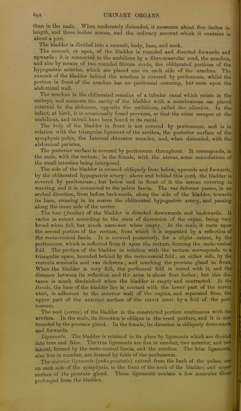 than in the male. When moderately distended, it measures about five inches in length, and threo inches across, and tlio ordinary amount which it contains is about a pint. The bladder is divided into a summit, body, base, and neck. The summit, or apex, of the bladder is rounded and dirocted forwards and upwards ; it is connected to the umbilicus by a fibro-muscular cord, the urachus, and also by means of two rounded fibrous cords, the obliterated portions of the hypogastric arteries, which are placed one on each side of the urachus. The summit of the bladder behind the urachus is covered by peritoneum, whilst the portion in front of the urachus has no peritoneal covering, but rests upon the abdominal wall. The urachus is the obliterated remains of a tubular canal which exists in the embryo, and connects the cavity of the bladder with a membranous sac placed external to the abdomen, opposite the umbilicus, called the allantois. In the infant, at birth, it is occasionally found pervious, so that the urine escapes at the umbilicus, and calculi have been found in its canal. The locly of the bladder in front is not covered by peritoneum, and is in relation with the triangular ligament of the urethra, the posterior surface of the symphysis pubis, the Internal obturator muscles, and, when distended, with the abdominal parietes. The posterior surface is covered by pei'itoneum throughout. It corresponds, in the male, with the rectum; in the female, with the uterus, some convolutions of the small intestine being interposed. The side of the bladder is crossed obliquely from below, upwards and forwards, by the obliterated hypogastric artery : above and behind this cord, the bladder is covered by peritoneum ; but below and in front of it the serous covering is wanting, and it is connected to the pelvic fascia. The vas deferens passes, in an arched direction, from before backwards, along the side of the bladder, towards its base, crossing in its course the obliterated hypogastric artery, and passing along the inner side of the ureter. The base (fundus) of the bladder is directed downwards and backwards. It varies in extent according to the state of distension of the organ, being very broad when full, but much narrower when empty. In the. male, it rests upon the second portion of the rectum, from which it is separated by a reflection of the recto-vesical fascia. It is covered posteriorly, for a slight extent, by the peritoneum, which is reflected from it upon the rectum, forming the recto-vesical fold. The portion of the bladder in relation with the rectum corresponds to a triangular space, bounded behind by the recto-vesical fold ; on either side, by the vesicula seminalis and vas deferens ; and touching the prostate gland in front. When the bladder is very full, the peritoneal fold is raised with it, and the distance between its reflection and the anus is about four inches; but this dis- tance is much diminished when the bladder is empty and contracted. In the female, the base of the bladder lies in contact with the lower part of the cervix uteri, is adherent to the anterior wrall of the vagina, and separated from the upper part of the anterior surface of the cervix uteri by a fold of the peri- toneum. The neck (cervix) of the bladder is the constricted portion continuous with the. urethra. In the male, its direction is oblique in the erect posture, and it is sur- rounded by the prostate gland. In the female, its direction is obliquely downwards and forwards. Ligaments. The bladder is retained in its place by ligaments which arc divided into true and false. The true ligaments are five in number, two anterior, and two lateral, formed by the recto-vesical fascia, and the urachus. The false ligaments, also five in number, are formed by folds of the peritoneum. The anterior ligaments (puboprostatic) extend from the back of the pubes, one on each side of the symphysis, to the front of the neck of the bladder, and upper surface of the prostate gland. These ligaments contain a few muscular fibres prolonged from the bladder.
