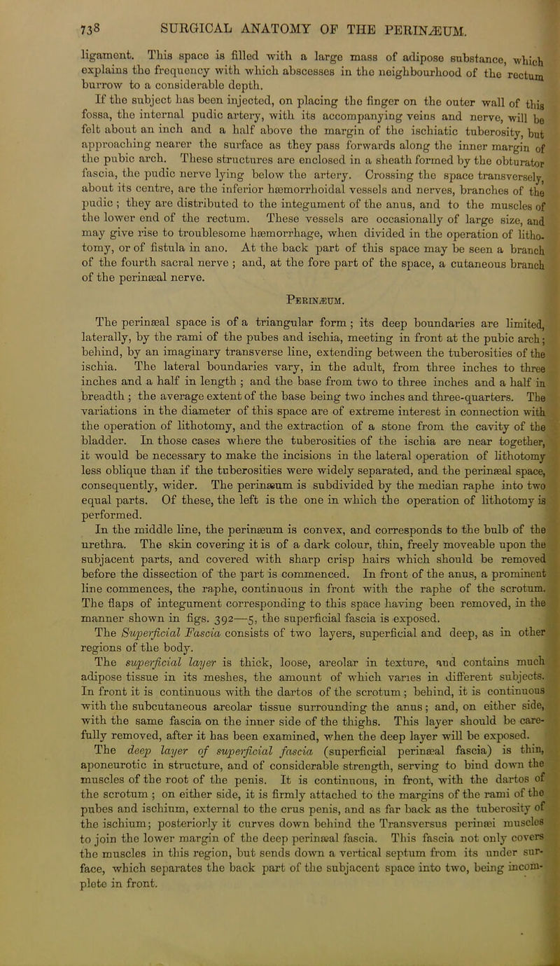 ligamont. This space is filled with a large mass of adipose substance, which explains the frequency with which abscesses in the neighbourhood of the rectum burrow to a considerable depth. If the subject has been injected, on placing the finger on the outer wall of this fossa, the internal pudic artery, with its accompanying veins and nerve, will be felt about an inch and a half above the margin of the ischiatic tuberosity, but approaching nearer the surface as they pass forwards along the inner margin of the pubic arch. These structures are enclosed in a sheath formed by the obturator fascia, the pudic nerve lying- below the artery. Crossing the space transversely, about its centre, are the inferior haemorrhoidal vessels and nerves, branches of the pudic ; they are distributed to the integument of the anus, and to the muscles of the lower end of the rectum. These vessels are occasionally of large size, and may give rise to troublesome haemorrhage, when divided in the operation of litho- tomy, or of fistula in ano. At the back part of this space may be seen a branch of the fourth sacral nerve ; and, at the fore part of the space, a cutaneous branch of the perinmal nerve. PBRINiEUM. The perinaeal space is of a triangular form ; its deep boundaries are limited, laterally, by the rami of the pubes and ischia, meeting in front at the pubic arch; behind, by an imaginary transverse line, extending between the tuberosities of the ischia. The lateral boundaries vary, in the adult, from three inches to three inches and a half in length ; and the base from two to three inches and a half in breadth ; the average extent of the base being two inches and three-quarters. The valuations in the diameter of this space are of extreme interest in connection with the operation of lithotomy, and the extraction of a stone from the cavity of the bladder. In those cases where the tuberosities of the ischia are near together, it would be necessary to make the incisions in the lateral operation of lithotomy less oblique than if the tuberosities were widely separated, and the perinasal space, consequently, wider. The perinaeum is subdivided by the median raphe into two equal parts. Of these, the left is the one in which the operation of lithotomy is performed. In the middle line, the perinasum is convex, and corresponds to the bulb of the urethra. The skin covering it is of a dark colour, thin, freely moveable upon the subjacent parts, and covered with sharp crisp hairs which should be removed before the dissection of the part is commenced. In front of the anus, a prominent line commences, the ra.phe, continuous in front with the raphe of the scrotum. The flaps of integument corresponding to this space having been removed, in the manner shown in figs. 392—5, the superficial fascia is exposed. The Superficial Fascia consists of two layers, superficial and deep, as in other regions of the body. The superficial layer is thick, loose, areolar in texture, and contains much adipose tissue in its meshes, the amount of which varies in different subjects. In front it is continuous with the dartos of the scrotum ; behind, it is continuous with the subcutaneous areolar tissue surrounding the anus; and, on either side, with the same fascia on the inner side of the thighs. This layer should be care- fully removed, after it has been examined, when the deep layer will be exposed. The deep layer of superficial fascia (superficial perinatal fascia) is thin, aponeurotic in structure, and of considerable strength, serving to bind down the muscles of the root of the penis. It is continuous, in front, with the dartos of the scrotum ; on either side, it is firmly attached to the margins of the rami of the pubes and ischium, external to the crus penis, and as far back as the tuberosity of the ischium; posteriorly it curves down behind the Transversus perinasi muscles to join the lower margin of the deep perinasal fascia. This fascia not only covers the muscles in this region, but sends down a vertical septum from its under sur- face, which separates the back part of the subjacent space into two, being incom- plete in front.