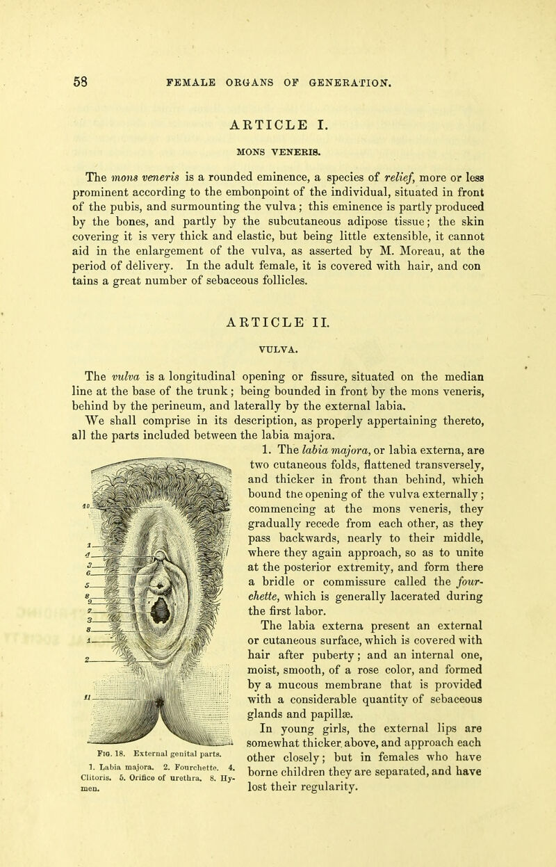 AETICLE I. MONS VENERIS. The mons veneris is a rounded eminence, a species of relief, more or lesa prominent according to the embonpoint of the individual, situated in front of the pubis, and surmounting the vulva; this eminence is partly produced by the bones, and partly by the subcutaneous adipose tissue; the skin covering it is very thick and elastic, but being little extensible, it cannot aid in the enlargement of the vulva, as asserted by M. Moreau, at the period of delivery. In the adult female, it is covered with hair, and con tains a great number of sebaceous follicles. ARTICLE 11. VULVA. The vulva is a longitudinal opening or fissure, situated on the median line at the base of the trunk; being bounded in front by the mons veneris, behind by the perineum, and laterally by the external labia. We shall comprise in its description, as properly appertaining thereto, all the parts included between the labia majora. 1. The labia majora, or labia externa, are two cutaneous folds, flattened transversely, and thicker in front than behind, which bound the opening of the vulva externally; commencing at the mons veneris, they gradually recede from each other, as they pass backwards, nearly to their middle, where they again approach, so as to unite at the posterior extremity, and form there a bridle or commissure called the four- chette, which is generally lacerated during the first labor. The labia externa present an external or cutaneous surface, which is covered with hair after puberty; and an internal one, moist, smooth, of a rose color, and formed by a mucous membrane that is provided with a considerable quantity of sebaceous glands and papillae. In young girls, the external lips are somewhat thicker above, and approach each other closely; but in females who have borne children they are separated, and have lost their regularity. Fig. 18. External genital parts. 1. Labia majora. 2. Fourcliette. 4. Hy- Clitoris, men. 6. Orifice of urethra. 8.