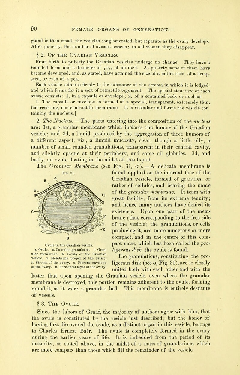 gland is then small, the vesicles conglomerated, but separate as the ovary devtlopg. After puberty, the number of ovisacs lessens ; in old vs'omen they disappear. § 2. Of the Ovarian Vesicles. From birth to puberty the Graafian vesicles undergo no change. They have a founded form and a diameter of j-^j^ of an inch. At puberty some of them have become developed, and, as stated, have attained the size of a millet-seed, of a hemp- seed, or even of a pea. Each vesicle adheres firmly to the substance of the stroma in which it is lodged, and which furms for it a sort of retractile tegument. The special structure of each ovisac consists: 1, in a capsule or envelope; 2, of a contained body or nucleus. 1. The capsule or envelope is formed of a special, transparent, extremely thin, but resisting, non-contractile membrane. It is vascular and forms the vesicle con taining the nucleus.] 2. The Nucleus.—The parts entering into the composition of the nucleus are: 1st, a granular membrane which incloses the humor of the Graafian vesicle; and 2d, a liquid produced by the aggregation of three humors of a different aspect, viz., a limpid mucosity, clear, though a little oily, a number of small rounded granulations, transparent in their central cavity, and slightly opaque at their periphery, and some oil globules. 3d, and lastly, an ovule floating in the midst of this liquid. The Ormmlar Membrane (see Fig. 31, g'). — A delicate membrane is found applied on the internal face of the Graafian vesicle, formed of granules, or rather of cellules, and bearing the name of the granular membrane. It tears with great facility, from its extreme tenuity; and hence many authors have denied its existence. Upon one part of the mem- brane (that corresponding to the free side of the vesicle) the granulations, or cells producing it, are more numerous or more compact, and in the centre of this com- pact mass, which has been called the pro- ligerous disk, the ovule is found. The granulations, constituting the pro- ligerous disk (see G, Fig. 31), are so closely united both with each other and with the latter, that upon opening the Graafian vesicle, even where the granular membrane is destroyed, this portion remains adherent to the ovule, forming round it, as it were, a granular bed. This membrane is entirely destitute of vessels. § 3. The Ovule. Since the labors of Graaf, the majority of authors agree with him, that the ovule is constituted by the vesicle just described; but the honor of having first discovered the ovule, as a distinct organ in this vesicle, belongs to Charles Ernest Baer. The ovule is completely formed in the ovary during the earlier years of life. It is imbedded from the period of its maturity, as stated above, in the midst of a mass of granulations, which Bre more compact, than those which fill the remainder of the vesicle. Fio. 31. Ovule in the Graafian vesicle. A. Ovule. B. Cumulus granulosus, c. Gran- ular membrane, d. Cavity of the Graafian vesicle. E. Membrane proper of the ovisac. F. Stroma of the ovary. G. Fibrous envelope of the ovary, h. Peritoneal layer of the ovary.