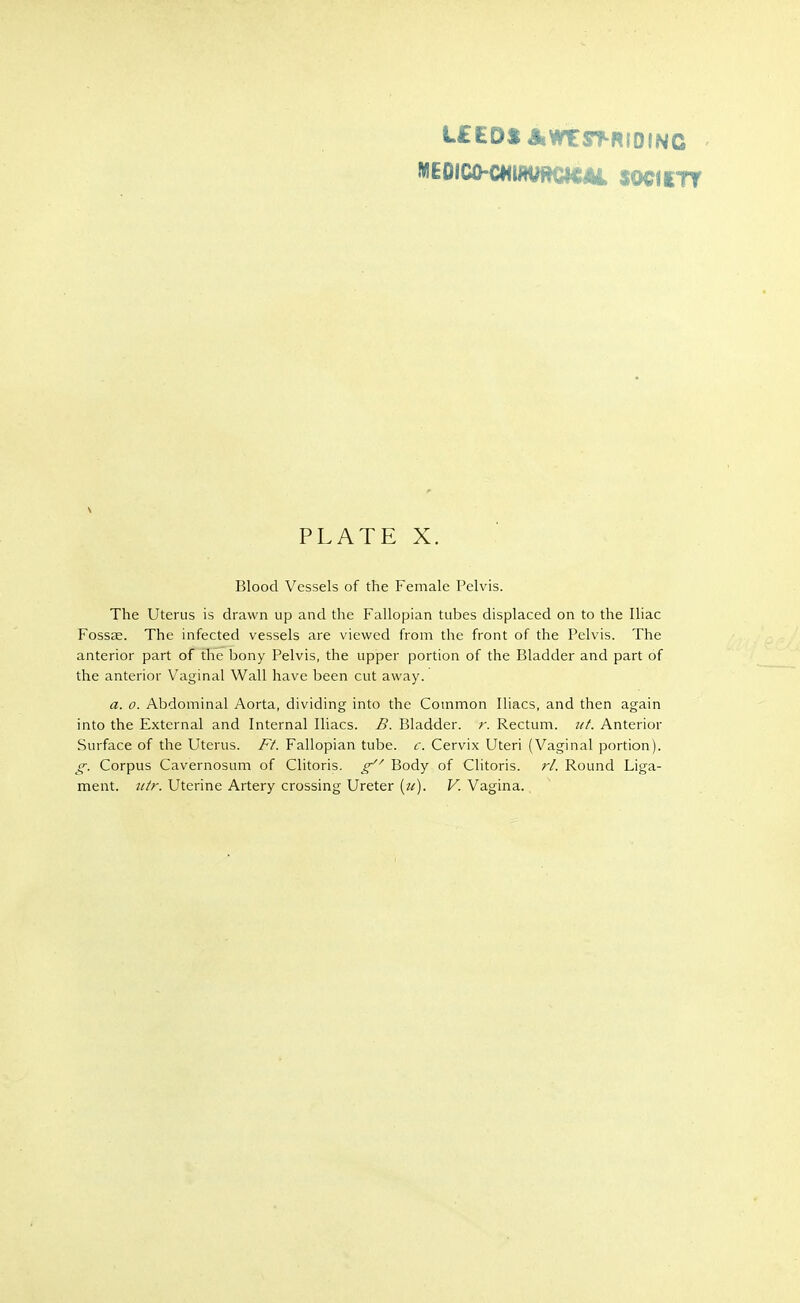 i.£EDtAWt STRIDING ME0iCO-C«liWRGiaL SOCfiTT PLATE X. Blood Vessels of the Female Pelvis. The Uterus is drawn up and the Fallopian tubes displaced on to the Iliac Fossae. The infected vessels are viewed from the front of the Pelvis. The anterior part of the bony Pelvis, the upper portion of the Bladder and part of the anterior Vaginal Wall have been cut away. a. 0. Abdominal Aorta, dividing into the Common Iliacs, and then again into the External and Internal Iliacs. B. Bladder, r. Rectum, iif. Anterior Surface of the Uterus. Ft. Fallopian tube. c. Cervix Uteri (Vaginal portion). g. Corpus Cavernosum of Clitoris. Body of Clitoris, rl. Round Liga- ment, iiir. Uterine Artery crossing Ureter [u). V. Vagina.