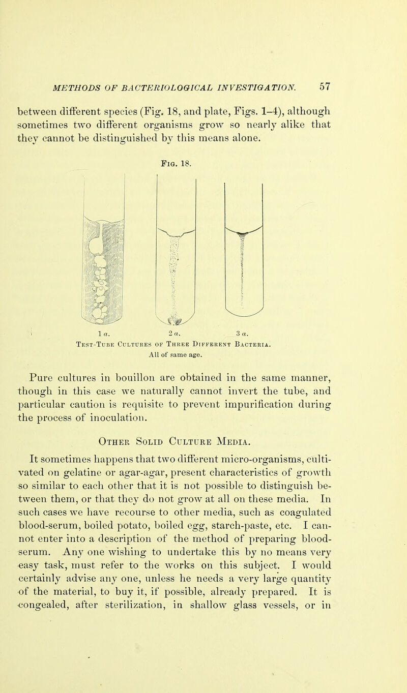 between different species (Fig. 18, and plate, Figs. 1-4), although sometimes two ditFerent organisms grow so nearly alike that they cannot be distinguished by this means alone. Fig. 18. la. 2 a. 3 a. Test-Tube Cultures op Three Different Bacteria. All of same age. Pure cultures in bouillon are obtained in the same manner, though in this case we naturally cannot invert the tube, and particular caution is requisite to prevent impurification during the process of inoculation. Other Solid Culture Media. It sometimes happens that two different micro-organisms, culti- vated on gelatine or agar-agar, present characteristics of growth so similar to each other that it is not possible to distinguish be- tween them, or that they do not grow at all on these media. In such cases we have recourse to other media, such as coagulated blood-serum, boiled potato, boiled egg, starch-paste, etc. I can- not enter into a description of the method of preparing blood- serum. Any one wishing to undertake this by no means very -easy task, must refer to the works on this subject. I would certainly advise any one, unless he needs a very large quantity of the material, to buy it, if possible, already prepared. It is -congealed, after sterilization, in shallow glass vessels, or in