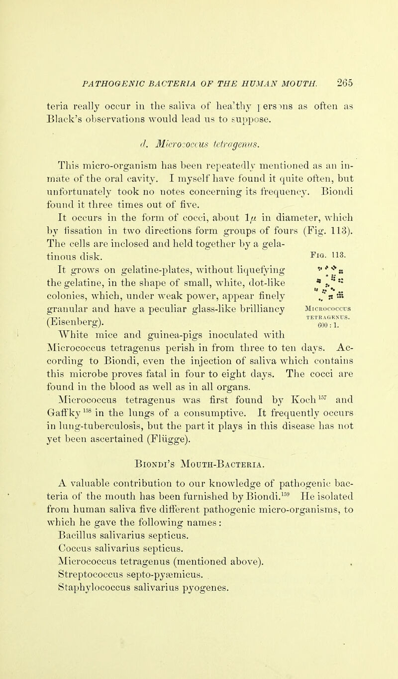 teria really occur in the saliva of liea'thy jers^ns as often as Black's observations would lead ns to suppose. //. Micrococcus fetragenus. This micro-organism has been repeatedly mentioned as an in- mate of the oral cavity. I myself have found it quite often, but unfortunately took no notes concerning its frequency. Biondi found it three times out of five. It occurs in the form of cocci, about Ip. in diameter, which by lissation in two directions form groups of fours (Fig. 113). The cells are inclosed and held together by a gela- tinous disk. 113. It groAvs on gelatine-plates, without liquefying ''t^^'** the gelatine, in the shape of small, white, dot-like * colonies, which, under weak power, appear finely s granular and have a peculiar glass-like brilliancy Micrococcus (Eisenberg). eoo: i. White mice and guinea-pigs inoculated with Micrococcus tetragenus perish in from three to ten days. Ac- cording to Biondi, even the injection of saliva which contains this microbe proves fatal in four to eight days. The cocci are found in the blood as well as in all organs. Micrococcus tetragenus was first found by Koch^^'' and Gaff ky in the lungs of a consumptive. It frequently occurs in lung-tuberculosis, but the part it plays in this disease has not yet been ascertained (Fliigge). BiONDi's Mouth-Bacteria. A valuable contribution to our knowledge of pathogenic bac- teria of the mouth has been furnished by Biondi.^^'' He isolated from human saliva five different pathogenic micro-organisms, to which he gave the following names : Bacillus salivarius septicus. Coccus salivarius septicus. Micrococcus tetragenus (mentioned above). Streptococcus septo-py?emicus. Staphylococcus salivarius pyogenes.
