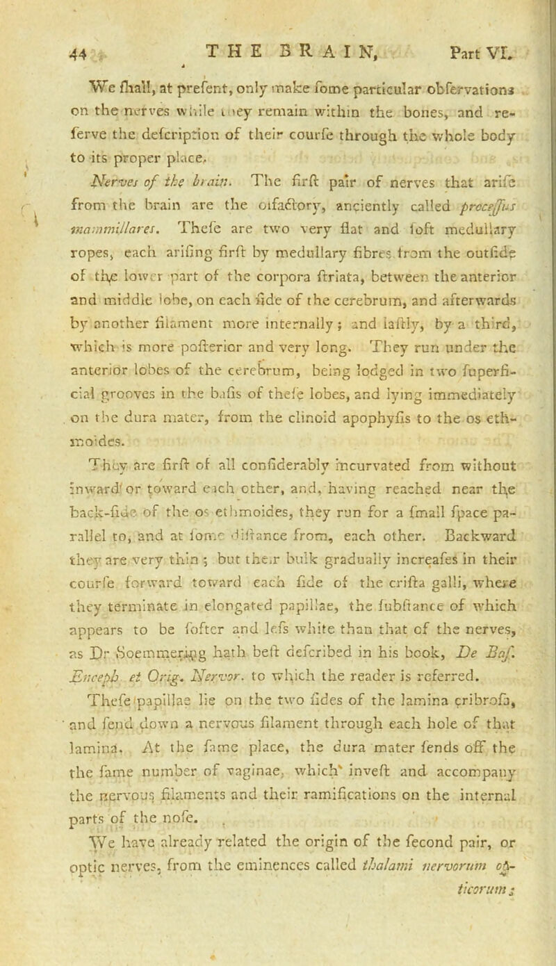 1 \ We {hall, at prefent, only make Tome particular obfervation* on the nerves while i 'ey remain within the bones, and re- ferve the defcriprion of their courfe through the whole body to its proper place, Nerves of the It.sin. The firft pair of nerves that arife from the brain are the cifa&ory, anciently called prcceffus tnammillares. Thefe are two very flat and loft medullary ropes, each arifing firft by medullary fibres from the outfidp of the lower part of the corpora ftriata, between the anterior and middle lobe, on each fide of the cerebrum, and afterwards by another filament more internally; and hilly, by a third, which ;s more pofterior and very long. They run under the anterior lobes of the cerebrum, being lodged in two fuperfi- cial grooves in the bafis of thefe lobes, and lying immediately on the dura mater, from the clinoid apophyfis to the os eth- m aides. Thcv are firft of all confiderablv meurvated from without inward'or toward each other, and, having reached near the fcack-fiae of the oc ethmoides, they run for a {mall fpace pa- rallel to, and at ion'.T diftance from, each other. Backward they are very thin ; but the.r bulk gradually increafes in their courfe forward toward each fide of the crifta galli, where they terminate in elongattd papillae, the fubftance of which appears to be fofter and lefs white than that cf the nerves, ns Dr iSoemmen-pg hath bell deferibed in his book, De Baf. jEneeph ei Orig. Nervor. to which the reader is referred. Thefe papillae lie on the two fides of the lamina cribroft, ' nnd fend down a nervous filament through each hole of that lamina. At the fame place, the dura mater fends off the the fame number of vaginae, which' inveft and accompany the nervous filaments and their ramifications on the internal parts of the nofe. We have already related the origin of the fecond pair, or optic nerve?, from the eminences called thalami nervorum o&- ticor urnj