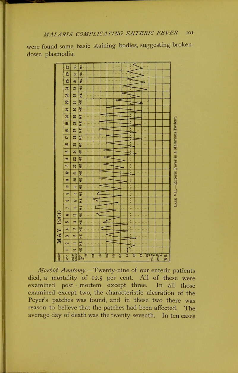 MALARIA COMPLICATING ENTERIC FEVER loi were found some basic staining bodies, suggesting broken- down Plasmodia. Morbid Anatomy.—Twenty-nine of our enteric patients died, a mortality of 12.5 per cent. All of these were examined post - mortem except three. In all those examined except two, the characteristic ulceration of the Peyer's patches was found, and in these two there was reason to believe that the patches had been affected. The average day of death was the twenty-seventh. In ten cases