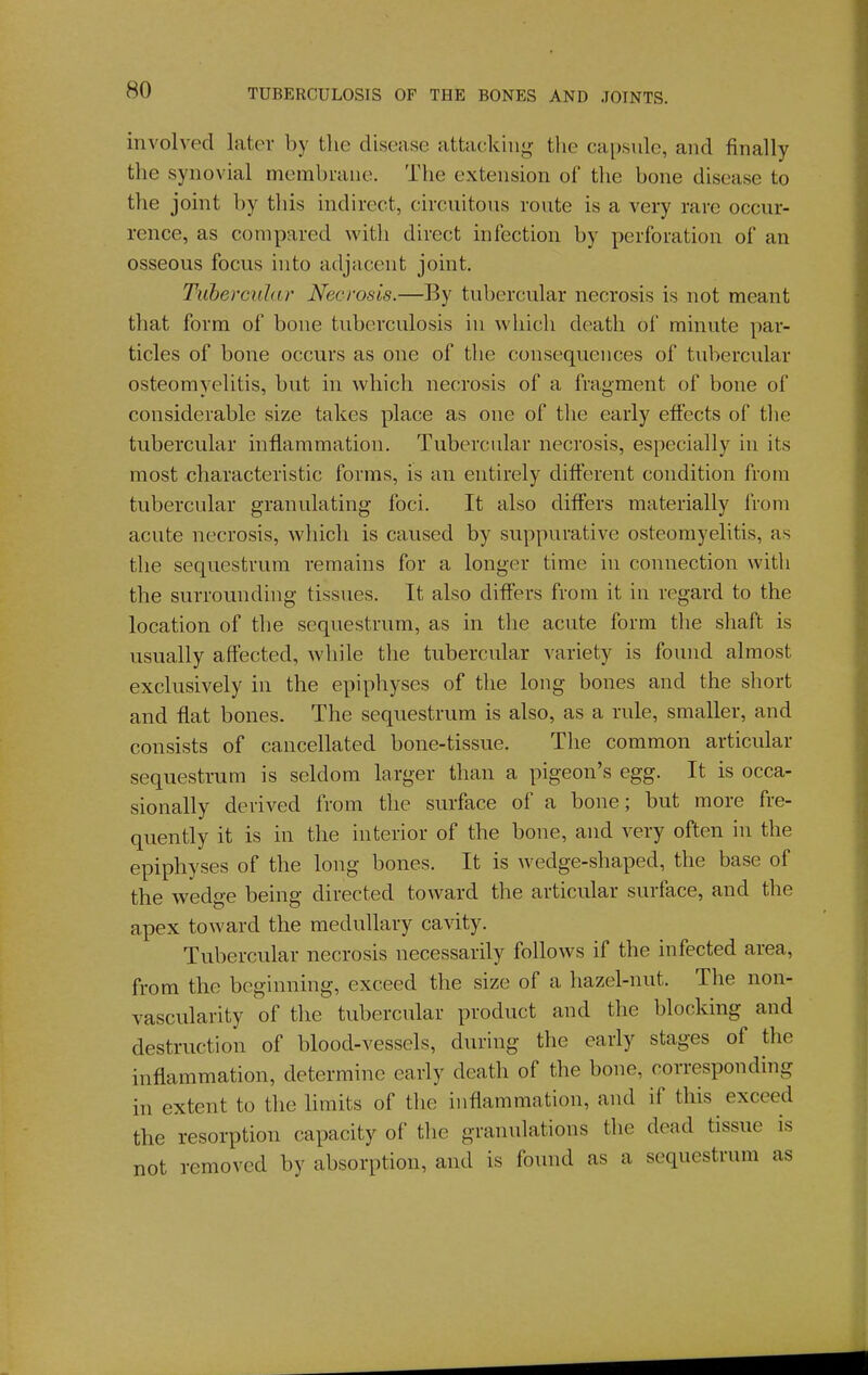 involved later by the disease attacking the capside, and finally the synovial membrane. The extension of the bone disease to the joint by tliis indirect, circuitous route is a very rare occur- rence, as compared with direct infection by perforation of an osseous focus into adjacent joint. Tuhercular Necrosis.—By tubercular necrosis is not meant that form of bone tuberculosis in which death of minute par- ticles of bone occurs as one of the consequences of tubercular osteomyelitis, but in which necrosis of a fragment of bone of considerable size takes place as one of the early effects of tlie tubercular inflammation. Tubercular necrosis, especially in its most characteristic forms, is an entirely different condition from tubercular granulating foci. It also differs materially from acute necrosis, which is caused by suppurative osteomyelitis, as the sequestrum remains for a longer time hi connection with the surrounding tissues. It also differs from it in regard to the location of the sequestrum, as in the acute form the shaft is usually affected, while the tubercular variety is found almost exclusively in the epiphyses of the long bones and the short and flat bones. The sequestrum is also, as a rule, smaller, and consists of cancellated bone-tissue. The common articular sequestrum is seldom larger than a pigeon's egg. It is occa- sionally derived from the surface of a bone; but more fre- quently it is in the interior of the bone, and very often in the epiphyses of the long bones. It is wedge-shaped, the base of the wedge being directed toward the articular surface, and the apex toward the medullary cavity. Tubercular necrosis necessarily follows if the infected area, from the beginning, exceed the size of a hazel-nut. The non- vascularity of the tubercular product and the blocking and destruction of blood-vessels, during the early stages of the inflammation, determine early death of the bone, corresponding in extent to the limits of the inflammation, and if this exceed the resorption capacity of the granulations the dead tissue is not removed by absorption, and is found as a sequestrum as