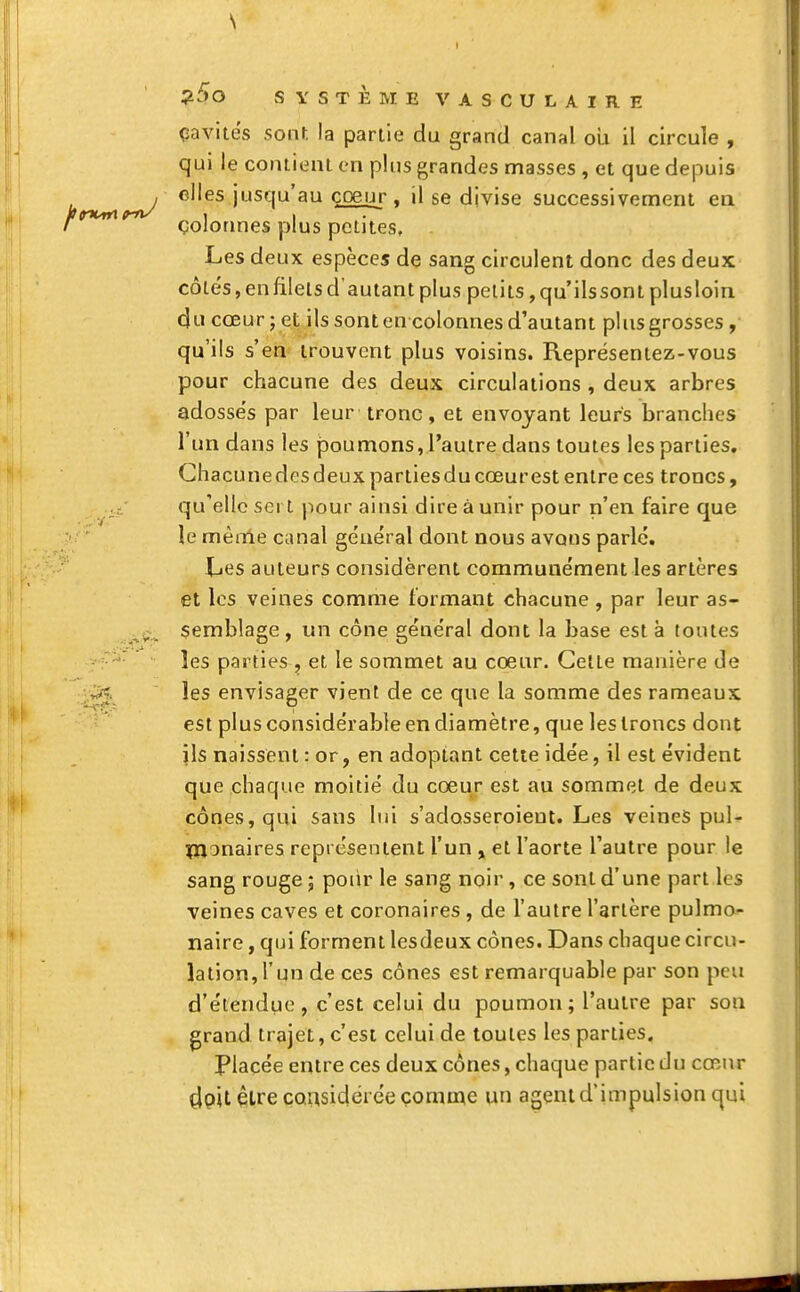 \ ?5o SYSTÈME VASCULAIRE çavités sont la partie du grand canal ou il circule , qui le contient en plus grandes masses , et que depuis elles jusqu'au coeur . il se divise successivement en çolonnes plus petites. Les deux espèces de sang circulent donc des deux côtes, en filets d'autant plus petits, qu'ils sont plusloin du cœur; et ils sont en colonnes d'autant plus grosses , qu'ils s'en trouvent plus voisins. Représentez-vous pour chacune des deux circulations , deux arbres adosse's par leur tronc, et envoyant leurs branches l'un dans les poumons, l'autre dans toutes les parties. Chacune des deux parties du cœur est entre ces troncs, qu'elle sert pour ainsi dire à unir pour n'en faire que le même canal ge'uëral dont nous avons parle. Les auteurs considèrent communément les artères et les veines comme formant chacune , par leur as- semblage, un cône général dont la base est à toutes les parties , et le sommet au cœur. Cette manière de les envisager vient de ce que la somme des rameaux est plus considérable en diamètre, que les troncs dont ils naissent : or, en adoptant cette idée, il est évident que chaque moitié du cœur est au sommet de deux cônes, qui sans lui s'adosseroieut. Les veines pul- monaires représentent l'un , et l'aorte l'autre pour le sang rouge ; pour le sang noir, ce sont d'une part les veines caves et coronaires , de l'autre l'artère pulmo- naire , qui forment lesdeux cônes. Dans chaque circu- lation, l'un de ces cônes est remarquable par son peu d'étendue, c'est celui du poumon; l'autre par sou grand trajet, c'est celui de toutes les parties. Placée entre ces deux cônes, chaque partie du cœur tJpUêlre considérée comme un agent d'impulsion qui