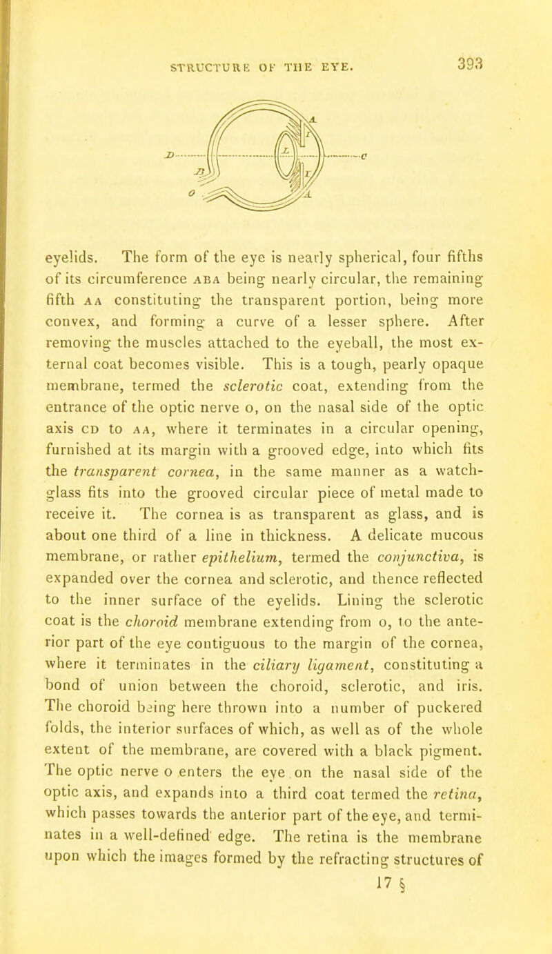 STRUCTURK OF TilE EYE. eyelids. The form of the eye is nearly spherical, four fifths of its circumference aba being nearly circular, the remaining fifth a a constituting the transparent portion, being more convex, and forming a curve of a lesser sphere. After removing the muscles attached to the eyeball, the most ex- ternal coat becomes visible. This is a tough, pearly opacjue membrane, termed the sclerotic coat, extending from the entrance of the optic nerve o, on the nasal side of the optic axis cd to aa, where it terminates in a circular opening, furnished at its margin with a grooved edge, into which fits the transparent cornea, in the same manner as a watch- glass fits into the grooved circular piece of metal made to receive it. The cornea is as transparent as glass, and is about one third of a line in thickness. A delicate mucous membrane, or rather epithelium, termed the conjunctiva, is expanded over the cornea and sclerotic, and thence reflected to the inner surface of the eyelids. Lining the sclerotic coat is the choroid membrane extending from o, to the ante- rior part of the eye contiguous to the margin of the cornea, where it terminates in the ciliary ligament, constituting a bond of union between the choroid, sclerotic, and iris. The choroid b^ing here thrown into a number of puckered folds, the interior surfaces of which, as well as of the whole extent of the membrane, are covered with a black pigment. The optic nerve o enters the eye . on the nasal side of the optic axis, and expands into a third coat termed the retina, which passes towards the anterior part of the eye, and termi- nates in a well-defined edge. The retina is the membrane upon which the images formed by the refracting structures of 17 §