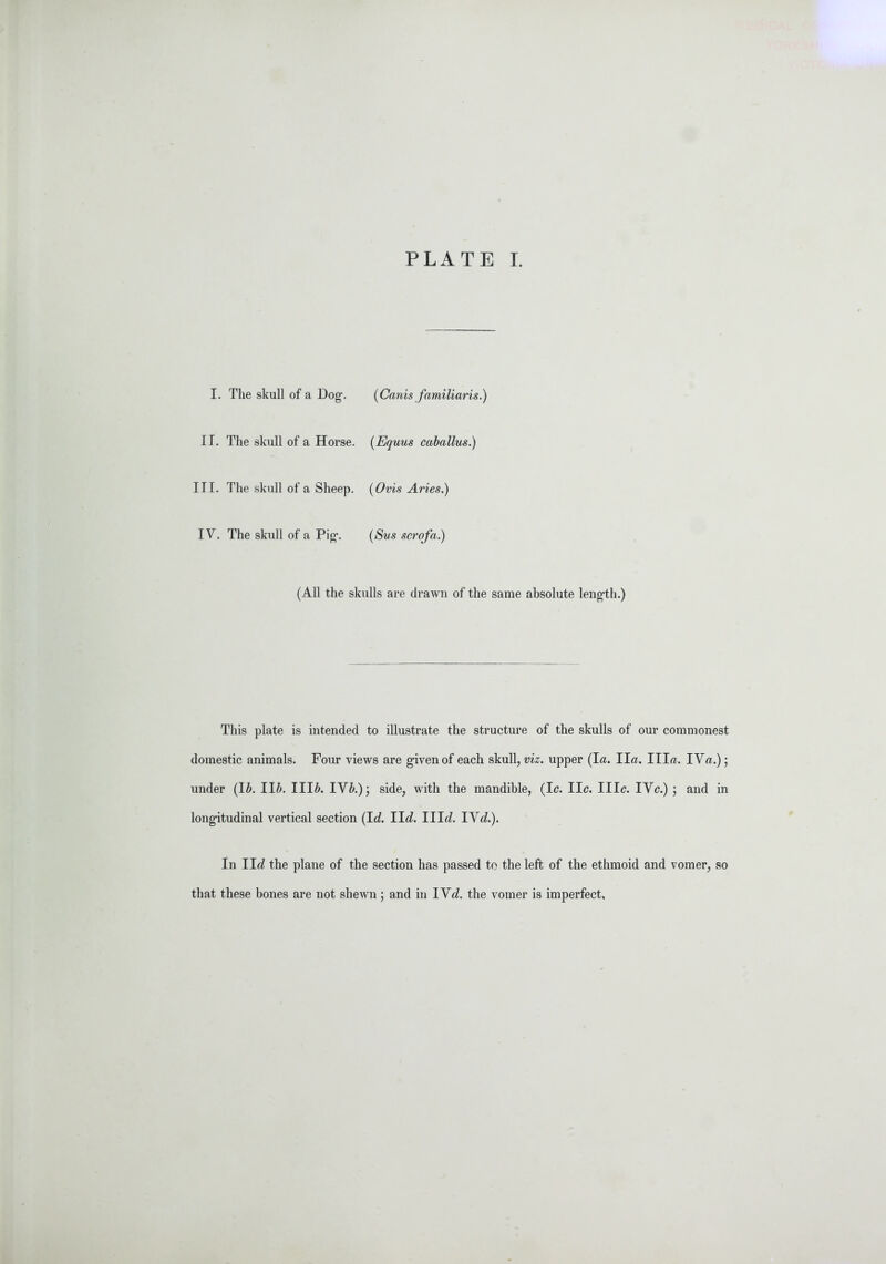 I. The skull of a Dog’. {Ca^iis familiaris.) ir. The skull of a Horse. {Equus caballus.) III. The skull of a Sheep. {Ovis A7'ies.) IV. The skull of a Pig*. {Sus scrofa.) (All the skulls are drawn of the same absolute leng’th.) This plate is intended to illustrate the structure of the skulls of our commonest domestic animals. Four views are g’ivenof each skull, viz. upper (la. Ila. Ilia. IVa.); under (I&. II^>. III&. IV^'.)j side, with the mandible, (Ic. lie. Ille. IVe.) ; and in long-itudinal vertical section (Ic^. l\d. III^Z. IVe^.). In lid the plane of the section has passed to the left of the ethmoid and vomer, so that these bones are not shewn ; and in IVc?. the vomer is imperfect.