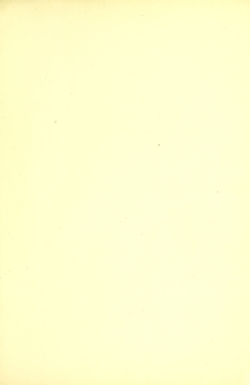 'A' ••' ■• •■'t:i . .> ..-'^ -. ‘'-I., ... -. ,■’■• -''.M'*' ’ '. • W ■'^j r- k A «( .K <4*.(