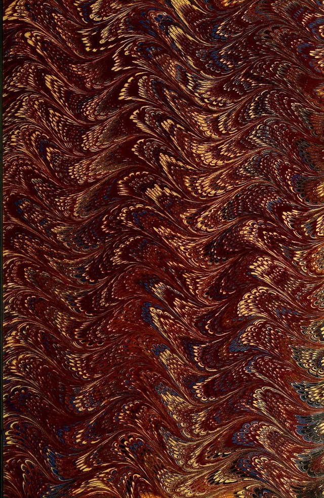 digitised image 3