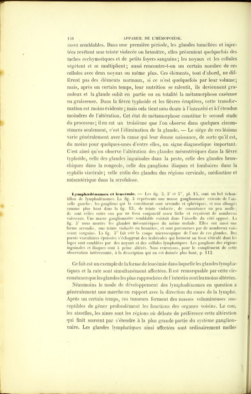 assez semblables. Dans une première période, les glandes tuméfiées et injec- tées revêtent une teinte violacée ou brunâtre, elles présentent quelquefois des taches ecchymotiques et de petits foyers sanguins ; les noyaux et les cellules végètent et se multiplient; aussi rencontre-t-on un certain nombre de ces cellules avec deux noyaux ou même plus. Ces éléments, tout d’abord, ne dif- fèrent pas des éléments normaux, si ce n’est quelquefois par leur volume; mais, après un certain temps, leur nutrition se ralentit, ils deviennent gra- nuleux et la glande subit en partie ou en totalité la métamorphose caséeuse ou graisseuse. Dans la fièvre typhoïde et les fièvres éruptives, cette transfor- mation est moins évidente ; mais cela tient sans doute à l’intensité et à l’étendue moindres de l’altération. Cet état de métamorphose constitue le second stade du processus ; il en est un troisième que l’on observe dans quelques circon- stances seulement, c’est l’élimination de la glande. — Le siège de ces lésions varie généralement avec la cause qui leur donne naissance, de sorte qu’il est, du moins pour quelques-unes d’entre elles, un signe diagnostique important. C’est ainsi qu’on observe l’altération des glandes mésentériques dans la fièvre typhoïde, celle des glandes inguinales dans la peste, celle des glandes bron- chiques dans la rougeole, celle des ganglions iliaques et lombaires dans la syphilis viscérale; celle enfin des glandes des régions cervicale, médiastine et mésentérique dans la scrofulose. Lympliadénotties et leucémie. — Les fîg. 3, 3f et 3,f, pl. 15, sont nii bel échan- tillon de lymphadénomes. La fîg. 3 représente une masse ganglionnaire extraite de l’ais- selle gauche; les ganglions qui la constituent sont arrondis et sphériques, et non allongés comme plus haut dans la fig. 13, de teinte violacée, de consistance un peu molle; ils sont reliés entre eux par un tissu conjonctif assez lâche et reçoivent de nombreux vaisseaux. Une masse ganglionnaire semblable existait dans l’aisselle du côté opposé. La fig. 3' nous montre les glandes mésentériques du même malade. Elles ont aussi une forme arrondie, une teinte violacée ou brunâtre, et sont parcourues par de nombreux vais- seaux sanguins. La fig. 3 fait voir la coupe microscopique de l’une de ces glandes. Des parois vasculaires épaissies s’échappent des trabécules qui forment un tissu réticulé dont les loges sont comblées par des noyaux et des cellules lymphatiques. Les ganglions des régions inguinales et iliaques sont à peine altérés. Nous renvoyons, pour le complément de cette observation intéressante, à la description qui en est donnée plus haut, p. 112. Ce fait est un exemple de la forme de leucémie dans laquelle les glandes lympha- tiques et la rate sont simultanément affectées. Il est remarquable par cette cir- constance que lesglandes les plus rapprochées de [ intestin sont les moins altérées. Néanmoins le mode de développement des lymphadénomes en question a généralement une marche en rapport avec la direction du cours de la lymphe. Après un certain temps, ces tumeurs forment des masses volumineuses sus- ceptibles de gêner profondément les fonctions des organes voisins. Le cou, les aisselles, les aines sont les régions où débute de préférence cette altération qui finit souvent par s’étendre à la plus grande partie du système ganglion- naire. Les glandes lymphatiques ainsi affectées sont ordinairement molles