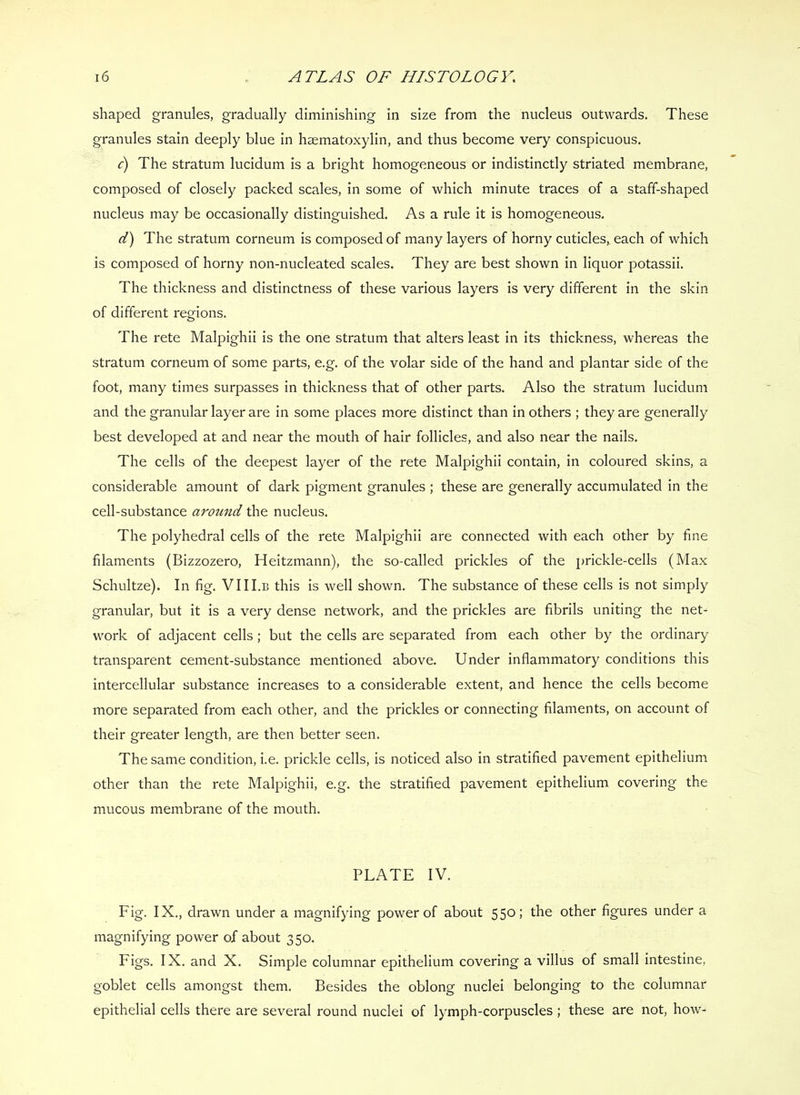 shaped granules, gradually diminishing in size from the nucleus outwards. These granules stain deeply blue in hsematoxylin, and thus become very conspicuous, c) The stratum lucidum is a bright homogeneous or indistinctly striated membrane, composed of closely packed scales, in some of which minute traces of a staff-shaped nucleus may be occasionally distinguished. As a rule it is homogeneous, d) The stratum corneum is composed of many layers of horny cuticles,, each of which is composed of horny non-nucleated scales. They are best shown in liquor potassii. The thickness and distinctness of these various layers is very different in the skin of different regions. The rete Malpighii is the one stratum that alters least in its thickness, whereas the stratum corneum of some parts, e.g. of the volar side of the hand and plantar side of the foot, many times surpasses in thickness that of other parts. Also the stratum lucidum and the granular layer are in some places more distinct than in others ; they are generally best developed at and near the mouth of hair follicles, and also near the nails. The cells of the deepest layer of the rete Malpighii contain, in coloured skins, a considerable amount of dark pigment granules ; these are generally accumulated in the cell-substance around the nucleus. The polyhedral cells of the rete Malpighii are connected with each other by fine filaments (Bizzozero, Heitzmann), the so-called prickles of the prickle-cells (Max Schultze). In fig. VIII.b this is well shown. The substance of these cells is not simply granular, but it is a very dense network, and the prickles are fibrils uniting the net- work of adjacent cells; but the cells are separated from each other by the ordinary transparent cement-substance mentioned above. Under inflammatory conditions this intercellular substance increases to a considerable extent, and hence the cells become more separated from each other, and the prickles or connecting filaments, on account of their greater length, are then better seen. The same condition, i.e. prickle cells, is noticed also in stratified pavement epithelium other than the rete Malpighii, e.g. the stratified pavement epithelium covering the mucous membrane of the mouth. PLATE IV. Fig. IX., drawn under a magnifying power of about 550; the other figures under a magnifying power of about 350. Figs. IX. and X. Simple columnar epithelium covering a villus of small intestine, goblet cells amongst them. Besides the oblong nuclei belonging to the columnar epithelial cells there are several round nuclei of lymph-corpuscles; these are not, how-