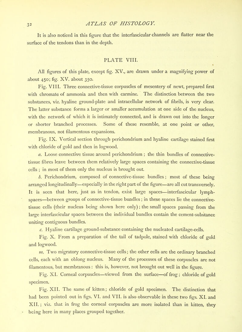 It is also noticed in this fieure that the interfascicular channels are flatter near the o surface of the tendons than in the depth. PLATE VIII. % All figures of this plate, except fig. XV., are drawn under a magnifying power of about 450; fig. XV. about 350. Fig. VIII. Three connective-tissue corpuscles of mesentery of newt, prepared first with chromate of ammonia and then with carmine. The distinction between the two substances, viz. hyaline ground-plate and intracellular network of fibrils, is very clear. The latter substance forms a larger or smaller accumulation at one side of the nucleus, with the network of which it is intimately connected, and is drawn out into the longer or shorter branched processes. Some of these resemble, at one point or other, membranous, not filamentous expansions. Fig. IX. Vertical section through perichondrium and hyaline cartilage stained first with chloride of gold and then in logwood. a. Loose connective tissue around perichondrium ; the thin bundles of connective- tissue fibres leave between them relatively large spaces containing the connective-tissue cells ; in most of them only the nucleus is brought out. b. Perichondrium, composed of connective-tissue bundles ; most of these being arranged longitudinally—especially in the right part of the figure—are all cut transversely. It is seen that here, just as in tendon, exist large spaces—interfascicular lymph- spaces—between groups of connective-tissue bundles ; in these spaces lie the connective- tissue cells (their nucleus being shown here only); the small spaces passing from the large interfascicular spaces between the individual bundles contain the cement-substance uniting contiguous bundles. c. Hyaline cartilage ground-substance containing the nucleated cartilage-cells. Fig. X. From a preparation of the tail of tadpole, stained with chloride of gold and logwood. m. Two migratory connective-tissue cells; the other cells are the ordinary branched cells, each with an oblong nucleus. Many of the processes of these corpuscles are not filamentous, but membranous : this is, however, not brought out well in the figure. Fig. XI. Corneal corpuscles—viewed from the surface—of frog ; chloride of gold specimen. Fig. XII. The same of kitten; chloride of gold specimen. The distinction that had been pointed out in figs. VI. and VII. is also observable in these two figs. XI. and XII. ; viz. that in frog the corneal corpuscles are more isolated than in kitten, they being here in many places grouped together.