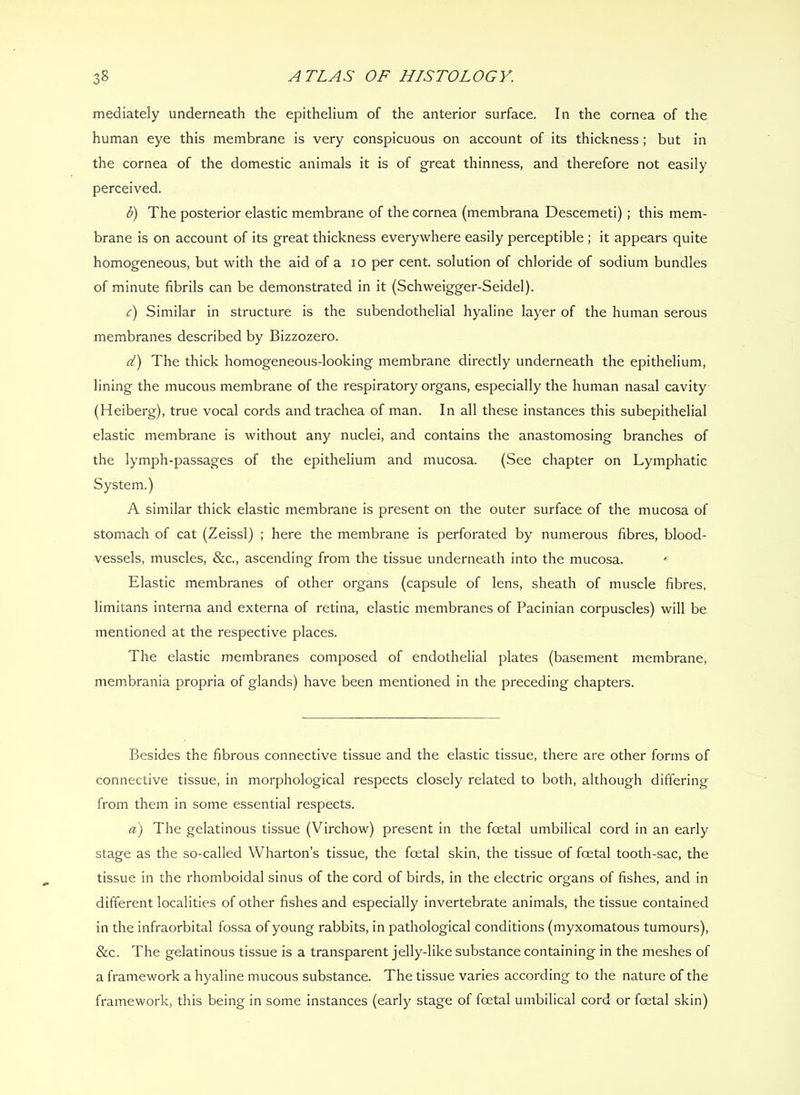 mediately underneath the epithelium of the anterior surface. In the cornea of the human eye this membrane is very conspicuous on account of its thickness; but in the cornea of the domestic animals it is of great thinness, and therefore not easily perceived. b) The posterior elastic membrane of the cornea (membrana Descemeti) ; this mem- brane is on account of its great thickness everywhere easily perceptible ; it appears quite homogeneous, but with the aid of a lo per cent, solution of chloride of sodium bundles of minute fibrils can be demonstrated in it (Schweigger-Seidel). c) Similar in structure is the subendothelial hyaline layer of the human serous membranes described by Bizzozero. d) The thick homogeneous-looking membrane directly underneath the epithelium, lining the mucous membrane of the respiratory organs, especially the human nasal cavity (Heiberg), true vocal cords and trachea of man. In all these instances this subepithelial elastic membrane is without any nuclei, and contains the anastomosing branches of the lymph-passages of the epithelium and mucosa. (See chapter on Lymphatic System.) A similar thick elastic membrane is present on the outer surface of the mucosa of stomach of cat (Zeissl) ; here the membrane is perforated by numerous fibres, blood- vessels, muscles, &c., ascending from the tissue underneath into the mucosa. Elastic membranes of other organs (capsule of lens, sheath of muscle fibres, limitans interna and externa of retina, elastic membranes of Pacinian corpuscles) will be mentioned at the respective places. The elastic membranes composed of endothelial plates (basement membrane, membrania propria of glands) have been mentioned in the preceding chapters. Besides the fibrous connective tissue and the elastic tissue, there are other forms of connective tissue, in morphological respects closely related to both, although differing from them in some essential respects. a) The gelatinous tissue (Virchow) present in the foetal umbilical cord in an early stage as the so-called Wharton’s tissue, the foetal skin, the tissue of foetal tooth-sac, the tissue in the rhomboidal sinus of the cord of birds, in the electric organs of fishes, and in different localities of other fishes and especially invertebrate animals, the tissue contained in the infraorbital fossa of young rabbits, in pathological conditions (myxomatous tumours), &c. The gelatinous tissue is a transparent jelly-like substance containing in the meshes of a framework a hyaline mucous substance. The tissue varies according to the nature of the framework, this being in some instances (early stage of foetal umbilical cord or foetal skin)