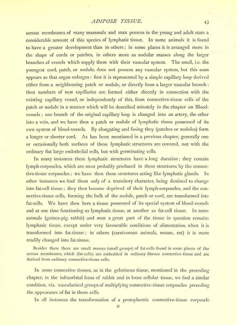 serous membranes of many mammals and man possess in the young and adult state a considerable amount of this species of lymphatic tissue. In some animals it is found to have a greater development than in others ; in some places it is arranged more in the shape of cords or patches, in others more as nodular masses along the larger branches of vessels which supply them with their vascular system. The small, i.e. the youngest cord, patch, or nodule, does not possess any vascular system, but this soon appears as that organ enlarges : first it is represented by a simple capillary loop derived either from a neighbouring patch or nodule, or directly from a larger vascular branch ; then numbers of new capillaries are formed either directly in connection with the existing capillary vessel, or independently of this, from connective-tissue cells of the patch or nodule in a manner which will be described minutely in the chapter on Blood- vessels ; one branch of the original capillary loop is changed into an artery, the other into a vein, and we have then a patch or nodule of lymphatic tissue possessed of its own system of blood-vessels. By elongating and fusing they (patches or nodules) form a longer or shorter cord. As has been mentioned in a previous chapter, generally one or occasionally both surfaces of these lymphatic structures are covered, not with the ordinary flat large endothelial cells, but with germinating cells. In many instances these lymphatic structures have a long duration ; they contain lymph-corpuscles, which are most probably produced in these structures by the connec- tive-tissue corpuscles ; we have then these structures acting like lymphatic glands. In other instances we find them only of a transitory character, being destined to change into fat-cell tissue ; they then become deprived of their lymph-corpuscles, and the con- nective-tissue cells, forming the bulk of the nodule, patch or cord, are transformed into fat-cells. We have then here a tissue possessed of its special system of blood-vessels and at one time functioning as lymphatic tissue, at another as fat-cell tissue. In some animals (guinea-pig, rabbit) and man a great part of the tissue in question remains lymphatic tissue, except under very favourable conditions of alimentation, when it is transformed into fat-tissue ; in others (carnivorous animals, mouse, rat) it is more readily changed into fat-tissue. Besides these there are small masses (small groups) of fat-cells found in some places of the serous membranes, which (fat-cells) are embedded in ordinary fibrous connective tissue and are derived from ordinary connective-tissue cells. In some connective tissues, as in the gelatinous tissue, mentioned in the preceding chapter, in the infraorbital fossa of rabbit and in loose cellular tissue, we find a similar condition, viz. vascularised groups of multiplying connective-tissue corpuscles preceding the appearance of fat in those cells. In all instances the transformation of a protoplasmic connective-tissue corpuscle H