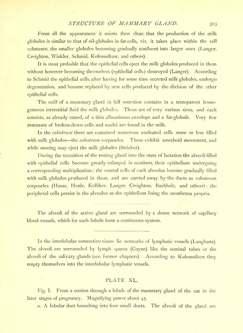 From all the appearances' it seems then clear, that the production of the milk globules is similar to that of oil-globules in fat-cells, viz, it takes place within the cell substance, the smaller globules becoming gradually confluent into larger ones (Langer, Creighton, Winkler, Schmid, Kolessnikow, and others). It is most probable that the epithelial cells eject the milk globules produced in them without however becoming themselves (epithelial cells) destroyed (Langer). According to Schmid the epithelial cells, after having for some time secreted milk globules, undergo degeneration, and become replaced by new cells produced by the division of the other epithelial cells. The milk of a mammary gland in full secretion contains in a transparent homo- geneous interstitial fluid the milk globules. These are of very various sizes, and each consists, as already stated, of a thin albuminous envelope and a fat-globule. Very few remnants of broken-down cells and nuclei are found in the milk, % In the colostrum there are contained numerous nucleated cells more or less filled with milk globules—the colostrum corpuscles. These exhibit amoeboid movement, and while moving may eject the milk globules (Strieker). Durinof the transition of the restinp gland into the state of lactation the alveoli filled with epithelial cells become greatly enlarged in numbers, their epithelium undergoing a corresponding multiplication ; the central cells of each alveolus become gradually filled with milk globules produced in them, and are carried away by the ducts as colostrum corpuscles (Hasse, Henle, Kolliker, Langer, Creighton, Buchholz, and others) ; the peripheral cells persist in the alveolus as the epithelium lining the membrana propria. The alveoli of the active gland are surrounded by a dense network of capillary blood-vessels, which for each lobule form a continuous system. In the interlobular connective-tissue lie networks of lymphatic vessels (Langhans). The alveoli are surrounded by lymph spaces (Coyne) like the seminal tubes or the alveoli of the salivary glands (see former chapters). According to Kolessnikow they empty themselves into the interlobular lymphatic vessels. PLATE XL. Fig. I. From a section through a lobule of the mammary gland of the cat in the later stages of pregnancy. Magnifying power about 45. a. A lobular duct branching into four small ducts. The alveoli of the gland are