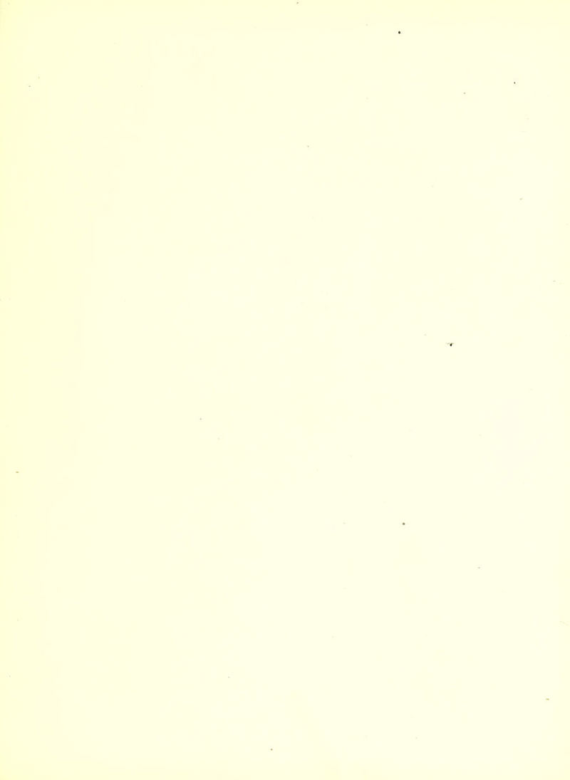*■ n: ■