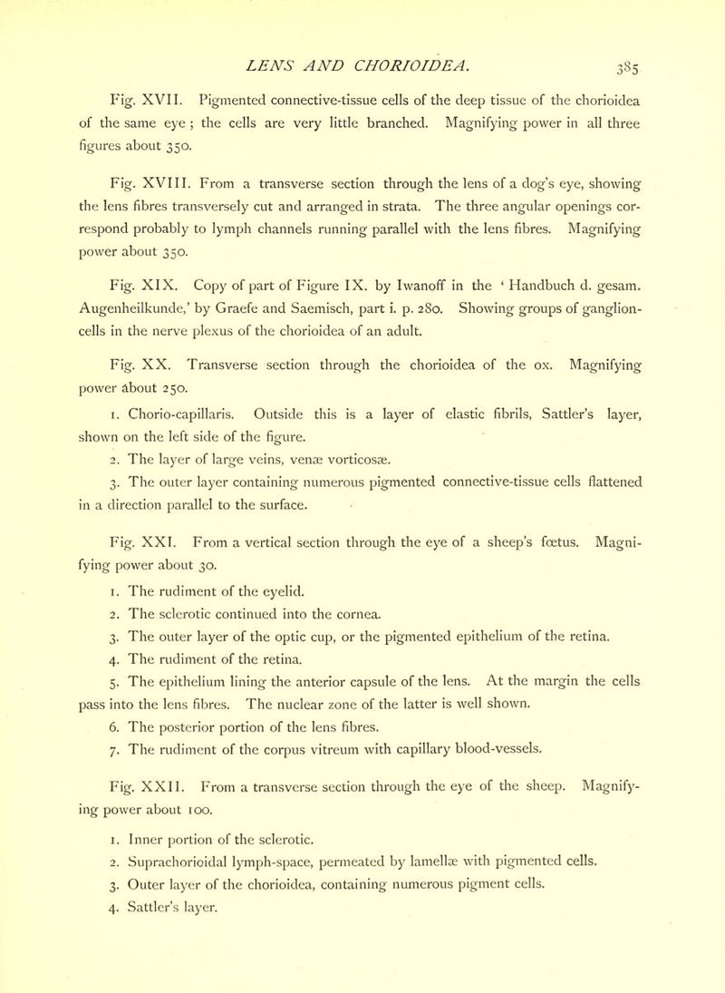 Pig. XVII. Pigmented connective-tissue cells of the deep tissue of the chorioidea of the same eye ; the cells are very little branched. Magnifying power in all three figures about 350. Fig. XVIII. From a transverse section through the lens of a dog’s eye, showing the lens fibres transversely cut and arranged in strata. The three angular openings cor- respond probably to lymph channels running parallel with the lens fibres. Magnifying power about 350. Fig. XIX. Copy of part of Figure IX. by Iwanoff in the ‘ Handbuch d. gesam. Augenheilkunde,’ by Graefe and Saemisch, part i. p. 280. Showing groups of ganglion- cells in the nerve plexus of the chorioidea of an adult. Fig. XX. Transverse section through the chorioidea of the ox. Magnifying power about 250. 1. Chorio-capillaris. Outside this is a layer of elastic fibrils, Sattler’s layer, shown on the left side of the figure. 2. The layer of large veins, venae vorticosae. 3. The outer layer containing numerous pigmented connective-tissue cells flattened in a direction parallel to the surface. Fig. XXL From a vertical section through the eye of a sheep’s foetus. Magni- fying power about 30. 1. The rudiment of the eyelid. 2. The sclerotic continued into the cornea. 3. The outer layer of the optic cup, or the pigmented epithelium of the retina. 4. The rudiment of the retina. 5. The epithelium lining the anterior capsule of the lens. At the margin the cells pass into the lens fibres. The nuclear zone of the latter is well shown. 6. The posterior portion of the lens fibres. 7. The rudiment of the corpus vitreum with capillary blood-vessels. Fig. XXII. From a transverse section through the eye of the sheep. Magnify- ing power about 100. 1. Inner portion of the sclerotic. 2. Suprachorioidal lymph-space, permeated by lamelloe with pigmented cells. 3. Outer layer of the chorioidea, containing numerous pigment cells. 4. Sattler’s layer.