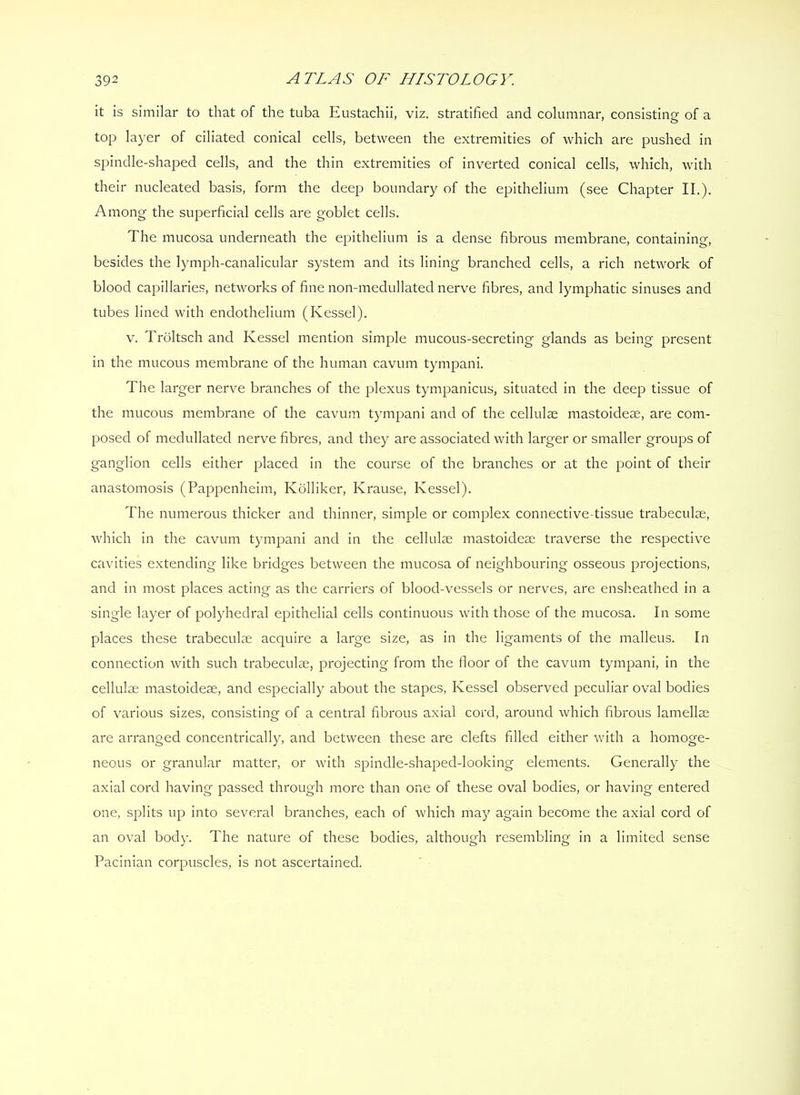 it is similar to that of the tuba Eustachii, viz. stratified and columnar, consistinof of a top layer of ciliated conical cells, between the extremities of which are pushed in spindle-shaped cells, and the thin extremities of inverted conical cells, which, with their nucleated basis, form the deep boundary of the epithelium (see Chapter II.). Among the superficial cells are goblet cells. The mucosa underneath the epithelium is a dense fibrous membrane, containing, besides the lymph-canalicular system and its lining branched cells, a rich network of blood capillaries, networks of fine non-medullated nerve fibres, and lymphatic sinuses and tubes lined with endothelium (Kessel). V. Troltsch and Kessel mention simple mucous-secreting glands as being present in the mucous membrane of the human cavum tympani. The larger nerve branches of the plexus tympanicus, situated in the deep tissue of the mucous membrane of the cavum tympani and of the cellulm mastoideae, are com- posed of medullated nerve fibres, and they are associated with larger or smaller groups of ganglion cells either placed in the course of the branches or at the point of their anastomosis (Pappenheim, Kolliker, Krause, Kessel). The numerous thicker and thinner, simple or complex connective-tissue trabeculae, which in the cavum tympani and in the cellulae mastoideae traverse the respective cavities extending like bridges between the mucosa of neighbouring osseous projections, and in most places acting as the carriers of blood-vessels or nerves, are ensheathed in a single layer of polyhedral epithelial cells continuous with those of the mucosa. In some places these trabeculae acquire a large size, as in the ligaments of the malleus. In connection with such trabeculae, projecting from the floor of the cavum tympani. In the cellulae mastoideae, and especially about the stapes, Kessel observed peculiar oval bodies of various sizes, consisting of a central fibrous axial cord, around which fibrous lamellae are arranged concentrically, and between these are clefts filled either with a homoge- neous or granular matter, or with spindle-shaped-looking elements. Generally the axial cord having passed through more than one of these oval bodies, or having entered one, splits up into several branches, each of which may again become the axial cord of an oval body. The nature of these bodies, although resembling in a limited sense Pacinian corpuscles, is not ascertained.