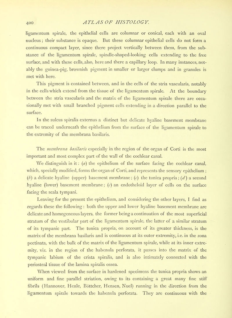 ligamentum spirale, the epithelial cells are columnar or conical, each with an oval nucleus ; their substance is opaque. But these columnar epithelial cells do not form a continuous compact layer, since there project vertically between them, from the sub- stance of the ligamentum spirale, spindle-shaped-looking cells extending to the free surface, and with these cells, also, here and there a capillary loop. In many instances, not- ably the guinea-pig, brownish pigment in smaller or larger clumps and in granules is met with here. This pigment is contained between, and in the cells of the stria vascularis, notably in the cells which extend from the tissue of the ligamentum spirale. At the boundary between the stria vascularis and the matrix of the ligamentum spirale there are occa- sionally met with small branched pigment cells extending in a direction parallel to the surface. In the sulcus spiralis externus a distinct but delicate hyaline basement membrane can be traced underneath the epithelium from the surface of the ligamentum spirale to the extremity of the membrana basilaris. The memh'ana basilaris especially in the region of the organ of Corti is the most important and most complex part of the wall of the cochlear canal. We distinguish in it; {a) the epithelium of the surface facing the cochlear canal, which, specially modified, forms the organ of Corti, and represents the sensory epithelium ; {b) a delicate hyaline (upper) basement membrane; (r) the tunica propria; {d) a second hyaline (lower) basement membrane; (<?) an endotheloid layer of cells on the surface facing the scala tympani. Leaving for the present the epithelium, and considering the other layers, I find as regards these the following; both the upper and lower hyaline basement membrane are delicate and homogeneous layers, the former being a continuation of the most superficial stratum of the vestibular part of the ligamentum spirale, the latter of a similar stratum of its tympanic part. The tunica propria, on account of its greater thickness, is the matrix of the membrana basilaris and is continuous at its outer extremity, i.e. in the zona pectinata, with the bulk of the matrix of the ligamentum spirale, while at its inner extre- mity, viz. in the region of the habenula perforata, it passes into the matrix of the tympanic labium of the crista spiralis, and is also intimately connected with the periosteal tissue of the lamina spiralis ossea. When viewed from the surface in hardened specimens the tunica propria shows an uniform and fine parallel striation, owing to its containing a great many fine stiff fibrils (Hannover, Henle, Bbttcher, Hensen, Nuel) running in the direction from the ligamentum spirale towards the habenula perforata. They are continuous with the