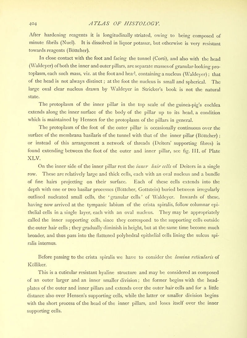 After hardening reagents it is longitudinally striated, owing to being composed of minute fibrils (Nuel). It is dissolved in liquor potassse, but otherwise is very resistant towards reagents (Bottcher). In close contact with the foot and facing the tunnel (Corti), and also with the head (Waldeyer) of both the inner and outer pillars, are separate masses of granular-looking pro- toplasm, each such mass, viz. at the foot and head, containing a nucleus (Waldeyer); that of the head is not always distinct ; at the foot the nucleus is small and spherical. The large oval clear nucleus drawn by Waldeyer in Strieker’s book is not the natural state. The protoplasm of the inner pillar in the top scale of the guinea-pig’s cochlea extends along the inner surface of the body of the pillar up to its head, a condition which is maintained by Hensen for the protoplasm of the pillars in general. The protoplasm of the foot of the outer pillar is occasionally continuous over the surface of the membrana basilaris of the tunnel with that of the inner pillar (Bottcher) ; or instead of this arrangement a network of threads (Deiters’ supporting fibres) is found extending between the foot of the outer and inner pillar, see fig. III. of Plate XLV. On the inner side of the inner pillar rest the inner hair cells of Deiters in a single row. These are relatively large and thick cells, each with an oval nucleus and a bundle of fine hairs projecting on their surface. Each of these cells extends into the depth with one or two basilar processes (Bottcher, Gottstein) buried between irregularly outlined nucleated small cells, the ‘granular cells’ of Waldeyer. Inwards of these, having now arrived at the tympanic labium of the crista spiralis, follow columnar epi- thelial cells in a single layer, each with an oval nucleus. They may be appropriately called the inner supporting cells, since they correspond to the supporting cells outside the outer hair cells ; they gradually diminish in height, but at the same time become much broader, and thus pass into the flattened polyhedral epithelial cells lining the sulcus spi- ralis internus. Before passing to the crista spiralis we have to consider the Hnina relictUaj'is of Kblliker. This is a cuticular resistant hyaline structure and may be considered as composed of an outer larger and an inner smaller division; the former begins with the head- plates of the outer and inner pillars and extends over the outer hair cells and for a little distance also over Hensen’s supporting cells, while the latter or smaller division begins with the short process of the head of the inner pillars, and loses itself over the inner supporting cells.