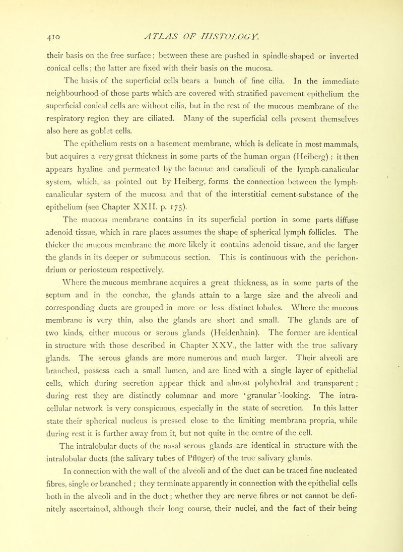 their basis on the free surface; between these are pushed in spindle-shaped or inverted conical cells; the latter are fixed with their basis on the mucosa. The basis of the superficial cells bears a bunch of fine cilia. In the immediate neighbourhood of those parts which are covered with stratified pavement epithelium the superficial conical cells are without cilia, but in the rest of the mucous membrane of the respiratory region they are ciliated. Many of the superficial cells present themselves also here as goblet cells. The epithelium rests on a basement membrane, which is delicate in most mammals, but acquires a v^ery great thickness In some parts of the human organ (Heiberg) ; it then appears hyaline and permeated by the lacunae and canaliculi of the lymph-canalicular system, which, as pointed out by Heiberg, forms the connection between the lymph- canalicular system of the mucosa and that of the interstitial cement-substance of the epithelium (see Chapter XXII. p. 175). The mucous membrane contains In its superficial portion In some parts diffuse adenoid tissue, wTich In rare places assumes the shape of spherical lymph follicles. The thicker the mucous membrane the more likely it contains adenoid tissue, and the larger the glands In Its deeper or submucous section. This Is continuous with the perichon- drium or periosteum respectively. Where the mucous membrane acquires a great thickness, as in some parts of the septum and in the conchae, the glands attain to a large size and the alveoli and corresponding ducts are grouped in more or less distinct lobules. Where the mucous membrane Is very thin, also the glands are short and small. The glands are of two kinds, either mucous or serous glands (Heldenhain). The former are identical in structure with those described in Chapter XXV., the latter with the true salivary glands. The serous glands are more numerous and much larger. Their alveoli are branched, possess each a small lumen, and are lined with a single layer of epithelial cells, which during secretion appear thick and almost polyhedral and transparent ; during rest they are distinctly columnar and more ‘ granular Mooking. The Intra- cellular network is very conspicuous, especially In the state of secretion. In this latter state their spherical nucleus Is pressed close to the limiting membrana propria, while during rest it Is further away from it, but not quite in the centre of the cell. The intralobular ducts of the nasal serous glands are identical in structure with the intralobular ducts (the salivary tubes of Pfliiger) of the true salivary glands. In connection with the wall of the alveoli and of the duct can be traced fine nucleated fibres, single or branched ; they terminate apparently in connection with the epithelial cells both in the alveoli and in the duct; whether they are nerve fibres or not cannot be defi- nitely ascertained, although their long course, their nuclei, and the fact of their being