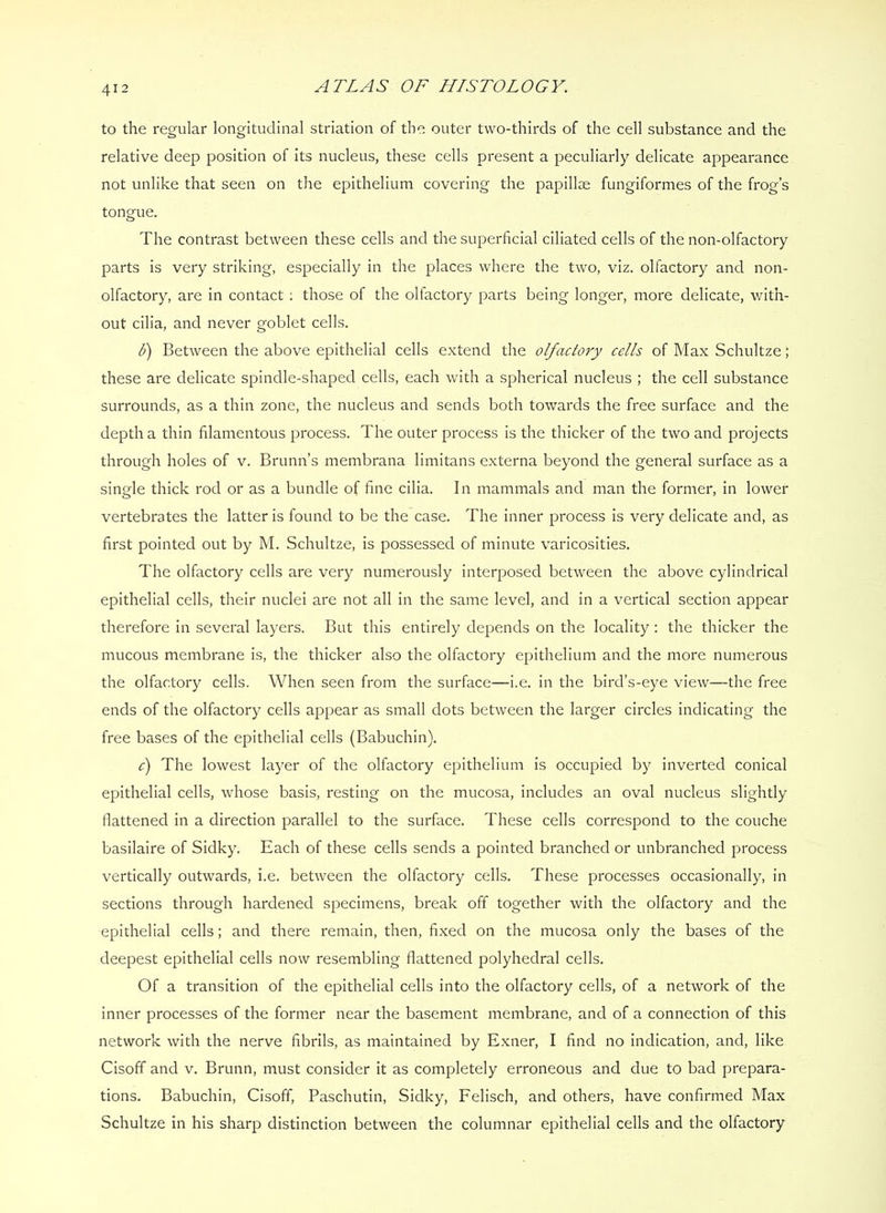 to the regular longitudinal striation of the outer two-thirds of the cell substance and the relative deep position of its nucleus, these cells present a peculiarly delicate appearance not unlike that seen on the epithelium covering the papillae fungiformes of the frog’s tongue. The contrast between these cells and the superficial ciliated cells of the non-olfactory parts is very striking, especially in the places where the two, viz. olfactory and non- olfactory, are in contact ; those of the olfactory parts being longer, more delicate, with- out cilia, and never goblet cells. b') Between the above epithelial cells extend the olfactory cells of Max Schultze; these are delicate spindle-shaped cells, each with a spherical nucleus ; the cell substance surrounds, as a thin zone, the nucleus and sends both towards the free surface and the depth a thin filamentous process. The outer process is the thicker of the two and projects through holes of v. Brunn’s membrana limitans externa beyond the general surface as a single thick rod or as a bundle of fine cilia. In mammals and man the former, in lower vertebrates the latter is found to be the case. The inner process is very delicate and, as first pointed out by M. Schultze, is possessed of minute varicosities. The olfactory cells are very numerously interposed between the above cylindrical epithelial cells, their nuclei are not all in the same level, and in a vertical section appear therefore in several layers. But this entirely depends on the locality: the thicker the mucous membrane is, the thicker also the olfactory epithelium and the more numerous the olfactory cells. When seen from the surface—i.e. in the bird’s-eye view—the free ends of the olfactory cells appear as small dots between the larger circles indicating the free bases of the epithelial cells (Babuchin). o') The lowest layer of the olfactory epithelium is occupied by inverted conical epithelial cells, whose basis, resting on the mucosa, includes an oval nucleus slightly flattened in a direction parallel to the surface. These cells correspond to the couche basilaire of Sidky. Each of these cells sends a pointed branched or unbranched process vertically outwards, i.e. between the olfactory cells. These processes occasionally, in sections through hardened specimens, break off together with the olfactory and the epithelial cells; and there remain, then, fixed on the mucosa only the bases of the deepest epithelial cells now resembling flattened polyhedral cells. Of a transition of the epithelial cells into the olfactory cells, of a network of the inner processes of the former near the basement membrane, and of a connection of this network with the nerve fibrils, as maintained by Exner, I find no indication, and, like Cisofif and v. Brunn, must consider it as completely erroneous and due to bad prepara- tions. Babuchin, Cisoff, Paschutin, Sidky, Felisch, and others, have confirmed Max Schultze in his sharp distinction between the columnar epithelial cells and the olfactory