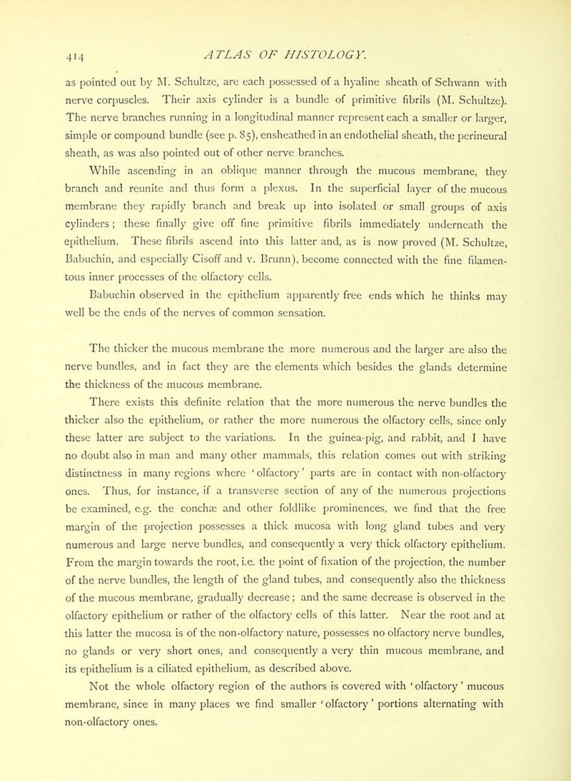 as pointed out by M. Schultze, are each possessed of a hyaline sheath of Schwann with nerve corpuscles. Their axis cylinder is a bundle of primitive fibrils (M. Schultze). The nerve branches running in a longitudinal manner represent each a smaller or larger, simple or compound bundle (see p. 85), ensheathed in an endothelial sheath, the perineural sheath, as was also pointed out of other nerve branches. While ascending in an oblique manner through the mucous membrane, they branch and reunite and thus form a plexus. In the superficial layer of the mucous membrane they rapidly branch and break up into isolated or small groups of axis cylinders; these finally give off fine primitive fibrils immediately underneath the epithelium. These fibrils ascend into this latter and, as is now proved (M. Schultze, Babuchin, and especially Cisoff and v. Brunn), become connected with the fine filamen- tous inner processes of the olfactory cells. Babuchin observed in the epithelium apparently free ends which he thinks may well be the ends of the nerves of common sensation. The thicker the mucous membrane the more numerous and the larger are also the nerve bundles, and in fact they are the elements which besides the glands determine the thickness of the mucous membrane. There exists this definite relation that the more numerous the nerve bundles the thicker also the epithelium, or rather the more numerous the olfactory cells, since only these latter are subject to the variations. In the guinea-pig, and rabbit, and I have no doubt also in man and many other mammals, this relation comes out with striking distinctness in many regions where ‘ olfactory ’ parts are in contact with non-olfactory ones. Thus, for instance, if a transverse section of any of the numerous projections be examined, e.g. the conchae and other foldlike prominences, we find that the free margin of the projection possesses a thick mucosa with long gland tubes and very numerous and large nerve bundles, and consequently a very thick olfactory epithelium. From the margin towards the root, i.e. the point of fixation of the projection, the number of the nerve bundles, the length of the gland tubes, and consequently also the thickness of the mucous membrane, gradually decrease; and the same decrease is observed in the olfactory epithelium or rather of the olfactory cells of this latter. Near the root and at this latter the mucosa is of the non-olfactory nature, possesses no olfactory nerve bundles, no glands or very short ones, and consequently a very thin mucous membrane, and its epithelium is a ciliated epithelium, as described above. Not the whole olfactory region of the authors is covered with ‘olfactory’ mucous membrane, since in many places we find smaller ‘ olfactory ’ portions alternating with non-olfactory ones.