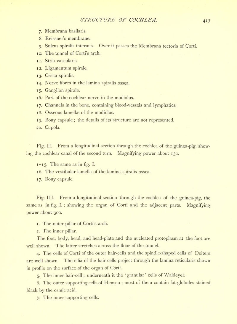STRUCTURE OF COCHLEA. 7. Membrana basilaris. 8. Reissner’s membrane. 9. Sulcus spiralis internus. Over it passes the Membrana tectoria of Corti. 10. The tunnel of Corti’s arch. 11. Stria vascularis. 12. Ligamentum spirale. 13. Crista spiralis. 14. Nerve fibres in the lamina spiralis ossea. 15. Ganglion spirale. 16. Part of the cochlear nerve in the modiolus. 17. Channels in the bone, containing blood-vessels and lymphatics. 18. Osseous lamellm of the modiolus. 19. Bony capsule ; the details of its structure are not represented. 20. Cupola. Fig. II. From a longitudinal section through the cochlea of the guinea-pig, show- ing the cochlear canal of the second turn. Magnifying power about 150. [-15. The same as in fig. I. 16. The vestibular lamella of the lamina spiralis ossea. 17. Bony capsule. Fig. III. From a longitudinal section through the cochlea of the guinea-pig, the same as in fig. I. ; showing the organ of Corti and the adjacent parts. Magnifying power about 300. 1. The outer pillar of Corti’s arch. 2. The inner pillar. The foot, body, head, and head-plate and the nucleated protoplasm at the foot are well shown. The latter stretches across the floor of the tunnel. 4. The cells of Corti of the outer hair-cells and the spindle-shaped cells of Deiters are well shown. The cilia of the hair-cells project through the lamina reticularis shown in profile on the surface of the organ of Corti. 5. The inner hair-cell ; underneath it the ‘granular’ cells of Waldeyer. 6. The outer supporting cells of Hensen ; most of them contain fat-globules stained black by the osmic acid. 7. The inner supporting cells.
