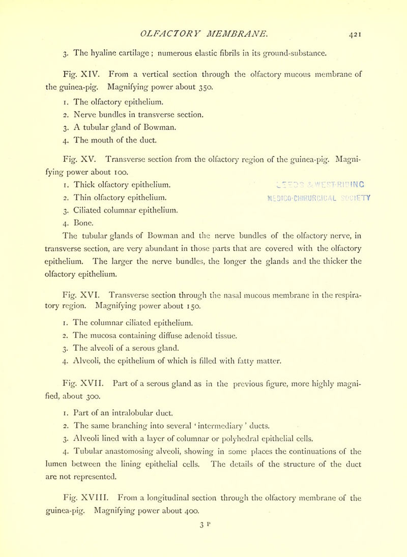 OLFACTORY MEMBRANE. 3. The hyaline cartilage ; numerous elastic fibrils in its ground-substance. Fig. XIV. From a vertical section through the olfactory mucous membrane of the guinea-pig. Magnifying power about 350. 1. The olfactory epithelium. 2. Nerve bundles in transverse section. 3. A tubular gland of Bowman. 4. The mouth of the duct. Fig. XV. Transverse section from the olfactory region of the guinea-pig. Magni- fying power about 100. 1. Thick olfactory epithelium. i_1’-0^ ^E'^T-RIPING 2. Thin olfactory epithelium. MEDlCO-CHlRURC.iPAL 'OClkTY 3. Ciliated columnar epithelium. 4. Bone. The tubular glands of Bowman and the nerve bundles of the olfactory nerve, in transverse section, are very abundant in those parts that are covered with the olfactory epithelium. The larger the nerve bundles, the longer the glands and the thicker the olfactory epithelium. Fig. XVI. Transverse section through the nasal mucous membrane in the respira- tory region. Magnifying power about 150. 1. The columnar ciliated epithelium. 2. The mucosa containing diffuse adenoid tissue. 3. The alveoli of a serous gland. 4. Alveoli, the epithelium of which is filled with fatty matter. Fig. XVII. Part of a serous gland as in the previous figure, more highly magni- fied, about 300. 1. Part of an intralobular duct. 2. The same branching into several ‘ intermediary ’ ducts. 3. Alveoli lined with a layer of columnar or polyhedral epithelial cells. 4. Tubular anastomosing alveoli, showing in some places the continuations of the lumen between the lining epithelial cells. The details of the structure of the duct are not represented. Fig. XVIII. From a longitudinal section through the olfactory membrane of the guinea-pig. Magnifying power about 400.