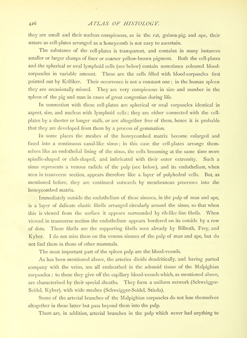 they are small and their nucleus conspicuous, as in the rat, guinea-pig, and ape, their nature as cell-plates arranged as a honeycomb is not easy to ascertain. The substance of the cell-plates is transparent, and contains in many instances smaller or larger clumps of finer or coarser yellow-brown pigment. Both the cell-plates and the spherical or oval lymphoid cells (see below) contain sometimes coloured blood- corpuscles in variable amount. These are the cells filled with blood-corpuscles first pointed out by Kolliker. Their occurrence is not a constant one ; in the human spleen they are occasionally missed. They are very conspicuous in size and number in the spleen of the pig and man in cases of great congestion during life. In connection with these cell-plates are spherical or oval corpuscles identical in aspect, size, and nucleus with lymphoid cells; they are either connected with the cell- plates by a shorter or longer stalk, or are altogether free of them, hence it is probable that they are developed from them by a process of gemmation. In some places the meshes of the honeycombed matrix become enlarged and fused into a continuous canal-like sinus ; in this case the cell-plates arrange them- selves like an endothelial lining of the sinus, the cells becoming at the same time more spindle-shaped or club-shaped, and imbricated with their outer extremity. Such a sinus represents a venous radicle of the pulp (see below), and its endothelium, when seen in transverse section, appears therefore like a layer of polyhedral cells. But, as mentioned before, they are continued outwards by membranous processes into the honeycombed matrix. Immediately outside the endothelium of these sinuses, in the pulp of man and ape, is a layer of delicate elastic fibrils arranged circularly around the sinus, so that when this is viewed from the surface it appears surrounded by rib-like fine fibrils. When viewed in transverse section the endothelium appears bordered on its outside by a row of dots. These fibrils are the supporting fibrils seen already by Billroth, Frey, and Kyber. I do not miss them on the venous sinuses of the pulp of man and ape, but do not find them in those of other mammals. The most important part of the spleen pulp are the blood-vessels. As has been mentioned above, the arteries divide dendritically, and having parted company with the veins, are all ensheathed in the adenoid tissue of the Malpighian corpuscles ; to these they give off the capillary blood-vessels which, as mentioned above, are characterised by their special sheaths. They form a uniform network (Schweigger- Seidel, Kyber), with wide meshes (Schweigger-Seidel, Stieda). Some of the arterial branches of the Malpighian corpuscles do not lose themselves altogether in these latter but pass beyond them into the pulp. There are, in addition, arterial branches in the pulp which never had anything to