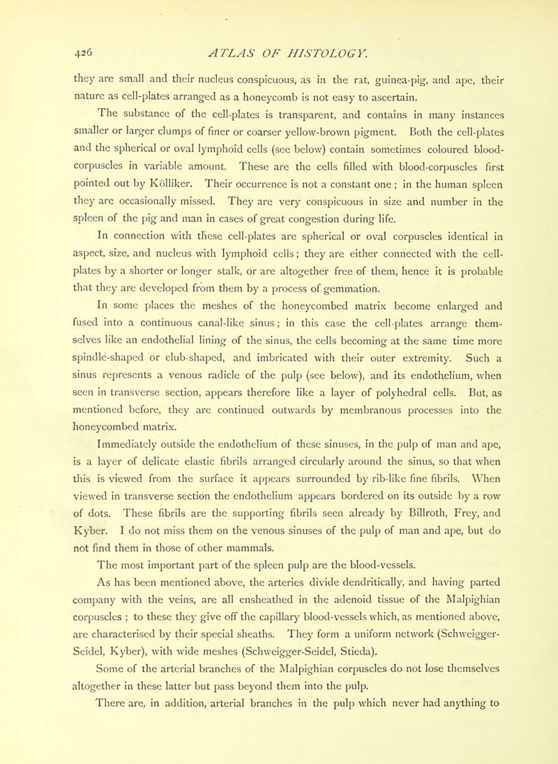 they are small and their nucleus conspicuous, as in the rat, guinea-pig, and ape, their nature as cell-plates arranged as a honeycomb is not easy to ascertain. The substance of the cell-plates is transparent, and contains In many instances smaller or larger clumps of finer or coarser yellow-brown pigment. Both the cell-plates and the spherical or oval lymphoid cells (see below) contain sometimes coloured blood- corpuscles in variable amount. These are the cells filled with blood-corpuscles first pointed out by Kolliker. Their occurrence Is not a constant one ; In the human spleen they are occasionally missed. They are very conspicuous in size and number in the spleen of the pig and man in cases of great congestion during life. In connection with these cell-plates are spherical or oval corpuscles identical in aspect, size, and nucleus with lymphoid cells; they are either connected with the cell- plates by a shorter or longer stalk, or are altogether free of them, hence it is probable that they are developed from them by a process of gemmation. In some places the meshes of the honeycombed matrix become enlarged and fused Into a continuous canal-like sinus ; in this case the cell-j^lates arrange them- selves like an endothelial lining of the sinus, the cells becoming at the same time more spindle-shaped or club-shaped, and Imbricated with their outer extremity. Such a sinus represents a venous radicle of the pulp (see below), and its endothelium, when seen In transverse section, appears therefore like a layer of polyhedral cells. But, as mentioned before, they are continued outwards by membranous processes into the honeycombed matrix. Immediately outside the endothelium of these sinuses, in the pulp of man and ape, is a layer of delicate elastic fibrils arranged circularly around the sinus, so that when this is viewed from the surface it appears surrounded by rib-like fine fibrils. When viewed in transverse section the endothelium appears bordered on its outside by a row of dots. These fibrils are the supporting fibrils seen already by Billroth, Frey, and Kyber. I do not miss them on the venous sinuses of the pulp of man and ape, but do not find them in those of other mammals. The most Important part of the spleen pulp are the blood-vessels. As has been mentioned above, the arteries divide dendritically, and having parted company with the veins, are all ensheathed in the adenoid tissue of the Malpighian corpuscles ; to these they give off the capillary blood-vessels which, as mentioned above, are characterised by their special sheaths. They form a uniform network (Schweigger- Seidel, Kyber), with wide meshes (Schweigger-Seldel, Stieda). Some of the arterial branches of the Malpighian corpuscles do not lose themselves altogether in these latter but pass beyond them Into the pulp. There are, in addition, arterial branches In the pulp which never had anything to