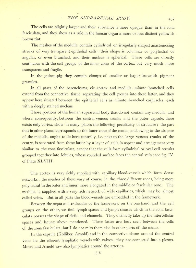 The cells are slightly larger and their substance is more opaque than in the zona fasciculata, and they show as a rule in the human organ a more or less distinct yellowish brown tint. The meshes of the medulla contain cylindrical or irregularly shaped anastomosing streaks of very transparent epithelial cells ; their shape is columnar or polyhedral or angular, or even branched, and their nucleus is spherical. These cells are directly continuous with the cell groups of the inner zone of the cortex, but very much more transparent and fragile. In the guinea-pig they contain clumps of smaller or larger brownish pigment granules. o In all parts of the parenchyma, viz. cortex and medulla, minute branched cells extend from the connective tissue separating the cell groups into these latter, and they appear here situated between the epithelial cells as minute branched corpuscles, each with a deeply stained nucleus. Those portions of the human suprarenal body that do not contain any medulla, and where consequently, between the central venous trunks and the outer capsule, there exists only cortex, show in many places the following peculiarity of structure ; the part that in other places corresponds to the inner zone of the cortex, and, owing to the absence of the medulla, ought to lie here centrally, i.e. next to the large venous trunks of the centre, is separated from these latter by a layer of cells in aspect and arrangement very similar to the zona fasciculata, except that the cells form cylindrical or oval cell streaks grouped together into lobules, whose rounded surface faces the central vein ; see fig. IV. of Plate XLVIII. The cortex is very richly supplied with capillary blood-vessels which form dense networks; the meshes of these vary of course in the three different zones, being more polyhedral in the outer and inner, more elongated in the middle or fascicular zone. The medulla is supplied with a very rich network of wide capillaries, which may be almost called veins. But in all parts the blood-vessels are embedded in the framework. Between the septa and trabeculm of the framework on the one hand, and the cell groups on the other*, we find lymph-spaces and lymph sinuses which in the zona fasci- culata possess the shape of clefts and channels. They distinctly take up the intercellular spaces and lacunm above mentioned. These latter are best seen between the cells of the zona fasciculata, but I do not miss them also in other parts of the cortex. In the capsule (Kblliker, Arnold) and in the connective tissue around the centr*al veins lie the efferent lymphatic vessels with valves ; they are connected into a plexus. Moers and Arnold saw also lymphatics around the arteries. 3 R
