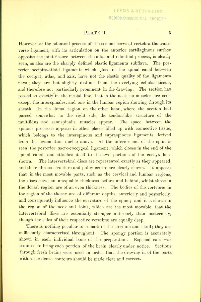 However, at the odontoid process of the second cervical vertebra the trans- verse ligament, with its articulation on the anterior cartilaginous surface opposite the joint fissure between the atlas and odontoid process, is clearly seen, as also are the sharply defined elastic ligamenta subflava. The pos- terior occipito-atloid ligaments which glose in the spinal canal between the occiput, atlas, and axis, have not the elastic quality of the ligamenta flava; they are but slightly distinct from the overlying cellular tissue, and therefore not particularly prominent in the drawing. The section has passed so exactly in the mesial line, that in the neck no muscles are seen except the interspinales, and one in the lumbar region showing through its sheath. In the dorsal region, on the other hand, where the section had passed somewhat to the right side, the tendon-like structure of the multifidus and semispinalis muscles appear. The space between the spinous processes appears in other places filled up with connective tissue, which belongs to the interspinous and supraspinous ligaments derived from the ligamentum nuchas above. At the inferior end of the spine is seen the posterior sacro-coccygeal ligament, which closes in the end of the spinal canal, and attaches itself to the two portions of the coccyx here shown. The intervertebral discs are represented exactly as they appeared, and their fibrous structure and pulpy centre are clearly shown. It appears that in the most movable parts, such as the cervical and lumbar regions, the discs have an unequable thickness before and behind, whilst those in the dorsal region are of an even thickness. The bodies of the vertebras in the region of the thorax are of different depths, anteriorly and posteriorly, and consequently influence the curvature of the spine; and it is shown in the region of the neck and loins, which are the most movable, that the intervertebral discs are essentially stronger anteriorly than posteriorly, though the sides of their respective vertebras are equally deep. There is nothing peculiar to remark of the sternum and skull; they are sufficiently characterised throughout. The spongy portion is accurately shown in each individual bone of the preparation. Especial care was required to bring each portion of the brain clearly under notice. Sections through fresh brains were used in order that the drawing-in of the parts within the dense contours should be made clear and correct.