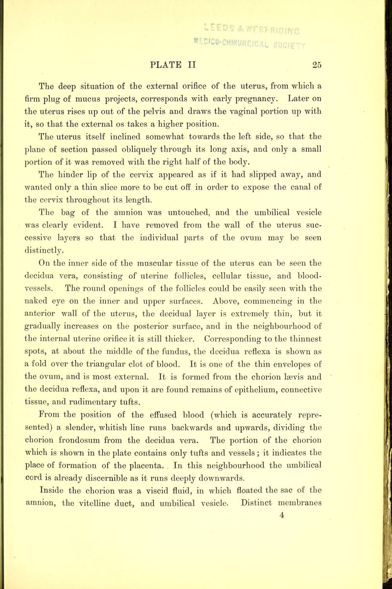 The deep situation of the external orifice of the uterus, from which a firm plug of mucus projects, corresponds with early pregnancy. Later on the uterus rises up out of the pelvis and draws the vaginal portion up with it, so that the external os takes a higher position. The uterus itself inclined somewhat towards the left side, so that the plane of section passed obliquely through its long axis, and only a small portion of it was removed with the right half of the body. The hinder lip of the cervix appeared as if it had slipped away, and wanted only a thin slice more to be cut off in order to expose the canal of the cervix throughout its length. The bag of the amnion was untouched, and the umbilical vesicle was clearly evident. I have removed from the wall of the uterus suc- cessive layers so that the individual parts of the ovum may be seen distinctly. On the inner side of the muscular tissue of the uterus can be seen the decidua vera, consisting of uterine follicles, cellular tissue, and blood- vessels. The round openings of the follicles could be easily seen with the naked eye on the inner and upper surfaces. Above, commencing in the anterior wall of the uterus, the decidual layer is extremely thin, but it gradually increases on the posterior surface, and in the neighbourhood of the internal uterine orifice it is still thicker. Corresponding to the thinnest spots, at about the middle of the fundus, the decidua reflexa is shown as a fold over the triangular clot of blood. It is one of the thin envelopes of the ovum, and is most external. It is formed from the chorion lsevis and the decidua reflexa, and upon it are found remains of epithelium, connective tissue, and rudimentary tufts. From the position of the effused blood (which is accurately repre- sented) a slender, whitish line runs backwards and upwards, dividing the chorion frondosum from the decidua vera. The portion of the chorion which is shown in the plate contains only tufts and vessels; it indicates the place of formation of the placenta. , In this neighbourhood the umbilical cord is already discernible as it runs deeply downwards. Inside the chorion was a viscid fluid, in which floated the sac of the amnion, the vitelline duct, and umbilical vesicle. Distinct membranes 4