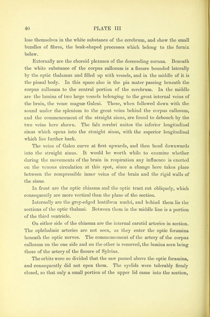 lose themselves in the white substance of the cerebrum, and show the small bundles of fibres, the beak-shaped processes which belong to the fornix below. Externally are the choroid plexuses of the descending cornua. Beneath the white substance of the corpus callosum is a fissure bounded laterally by the optic thalamus and filled up with vessels, and in the middle of it is the pineal body. In this space also is the pia mater passing beneath the corpus callosum to the central portion of the cerebrum. In the middle are the lumina of two large vessels belonging to the great internal veins of the brain, the venae magnae Galeni. These, when followed down with the sound under the splenium to the great veins behind the corpus callosum, and the commencement of the straight sinus, are found to debouch by the two veins here shown. The falx cerebri unites the inferior longitudinal sinus which opens into the straight sinus, with the superior longitudinal which lies farther back. The veins of Galen curve at first upwards, and then bend downwards into the straight sinus. It would be worth while to examine whether during the movements of the brain in respiration any influence is exerted on the venous circulation at this spot, since a change here takes place between the compressible inner veins of the brain and the rigid walls of the sinus. In front are the optic chiasma and the optic tract cut obliquely, which consequently are more vertical than the plane of the section. Internally are the grey-edged lentiform nuclei, and behind them lie the sections of the optic thalami. Between them in the middle line is a portion of the third ventricle. On either side of the chiasma are the internal carotid arteries in section. The ophthalmic arteries are not seen, as they enter the optic foramina beneath the optic nerves. The commencement of the artery of the corpus callosum on the one side and on the other is removed, the lumina seen being those of the artery of the fissure of Sylvius. The orbits were so divided that the saw passed above the optic foramina, and consequently did not open them. The eyelids were tolerably firmly closed, so that only a small portion of the upper lid came into the section,