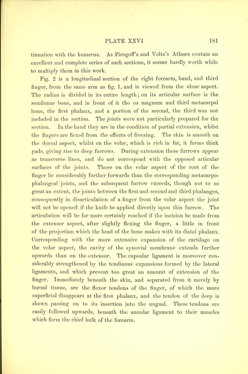 tinuation with the humerus. As Pirogoff’s and Voltz’s Atlases contain an excellent and complete series of such sections, it seems hardly worth while to multiply them in this work. Fig. 2 is a longitudinal section of the right forearm, hand, and third finger, from the same arm as fig. 1, and is viewed from the ulnar aspect. The radius is divided in its entire length; on its articular surface is the semilunar bone, and in front of it the os magnum and third metacarpal bone, the first phalanx, and a portion of the second, the third was not included in the section. The joints were not particularly prepared for the section. In the hand they are in the condition of partial extension, whilst the fingers are flexed from the effects of freezing. The skin is smooth on the dorsal aspect, whilst on the volar, which is rich in fat, it forms thick pads, giving rise to deep furrows. During extension these furrows appear as transverse lines, and do not correspond with the opposed articular surfaces of the joints. Those on the volar aspect of the root of the finger lie considerably further forwards than the corresponding metacarpo- phalangeal joints, and the subsequent furrow exceeds, though not to so great an extent, the joints between the first and second and third phalanges, consequently in disarticulation of a finger from the volar aspect the joint will not be opened if the knife be applied directly upon this furrow. The articulation will be far more certainly reached if the incision be made from the extensor aspect, after slightly flexing the finger, a little in front of the projection which the head of the bone makes with its distal phalanx. Corresponding with the more extensive expansion of the cartilage on the volar aspect, the cavity of the synovial membrane extends further upwards than on the extensor. The capsular ligament is moreover con- siderably strengthened by the tendinous expansions formed by the lateral ligaments, and which prevent too great an amount of extension of the finger. Immediately beneath the skin, and separated from it merely by bursal tissue, are the flexor tendons of the finger, of which the more superficial disappears at the first phalanx, and the tendon of the deep is shown passing on to its insertion into the ungual. These tendons are easily followed upwards, beneath the annular ligament to their muscles which form the chief bulk of the forearm.