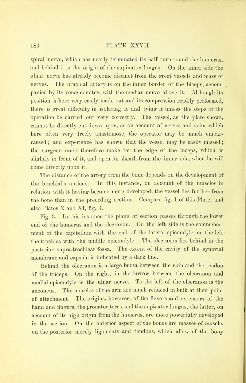spiral nerve, which has nearly terminated its half turn round the humerus, and behind it is the origin of the supinator longus. On the inner side the ulnar nerve has already become distinct from the great vessels and mass of nerves. The brachial artery is on the inner border of the biceps, accom- panied by its vence comites, with the median nerve above it. Although its position is here very easily made out and its compression readily performed, there is great difficulty in isolating it and tying it unless the steps of the operation be carried out very correctly. The vessel, as the plate shows, cannot be directly cut down upon, as on account of nerves and veins which here often very freely anastomose, the operator may be much embar- rassed ; and experience has shown that the vessel may be easily missed; the surgeon must therefore make for the edge of the biceps, which is slightly in front of it, and open its sheath from the inner side, when he will come directly upon it. The distance of the artery from the bone depends on the development of the brachialis anticus. In this instance, on account of the muscles in relation with it having become more developed, the vessel lies further from the bone than in the preceding section. Compare fig. 1 of this Plate, and also Plates X and XI, fig. 3. Pig. 3. In this instance the plane of section passes through the lower end of the humerus and the olecranon. On the left side is the commence- ment of the capitellum with the end of the lateral epicondyle, on the left the trochlea with the middle epicondyle. The olecranon lies behind in the posterior supra-trochlear fossa. The extent of the cavity of the synovial membrane and capsule is indicated by a dark line. Behind the olecranon is a large bursa between the skin and the tendon of the triceps. On the right, in the furrow between the olecranon and medial epicondyle is the ulnar nerve. To the left of the olecranon is the anconeus. The muscles of the arm are much reduced in bulk at their point of attachment. The origins, however, of the flexors and extensors of the hand and fingers, the pronator teres, and the supinator longus, the latter, on account of its high origin from the humerus, are more powerfully developed in the section. On the anterior aspect of the bones are masses of muscle, on the posterior merely ligaments and tendons, which allow of tbe bony