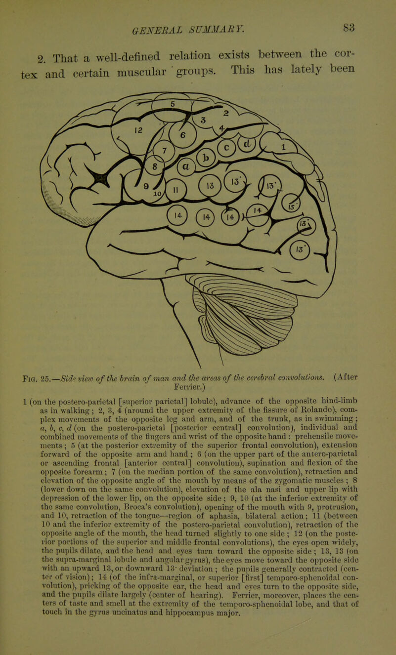 2. That a well-defined relation exists between the cor- tex and certain muscular ' groups. This has lately been Fig. 25.—Sid? vieio of the brain of man and the areas of the cerebral convolutions. (After Ferrier.) 1 (on the postero-parictal [superior parietal] lobule), advance of the opposite hind-limb as in walking; 2, 3, 4 (around the upper extremity of the fissure of Rolando), com- plex movements of the opposite leg and arm, and of the trunk, as in swimming; fi, 6, c, d (on the postero-parietal [posterior central] convolution), individual and combined movements of the fingers and wrist of the opposite hand : prehensile move- ments ; 5 (at the posterior extremity of the superior frontal convolution), extension forward of the opposite arm and hand ; 6 (on the upper part of the antero-parietal or ascending frontal [anterior central] convolution), supination and flexion of the opposite forearm ; 7 (on the median portion of the same convolution), retraction and elevation of the opposite angle of the mouth by means of the zygomatic muscles ; 8 (lower down on the same convolution), elevation of the ala nasi and upper lip with depression of the lower lip, on the opposite side ; 9, 10 (at the inferior extremity of the same convolution, Broca's convolution), opening of the mouth with 9, protrusion, and 10, retraction of the tongue—region of aphasia, bilateral action; 11 (between 10 and the inferior extremity of the postero-parietal convolution), retraction of the opposite angle of the mouth, the head turned slightly to one side ; 12 (on the poste- rior portions of the superior and middle frontal convolutions), the eyes open widely, the pupils dilate, and the head and eyes turn toward the opposite side ; 13, 13 (on the sui)ra-marginal lobule and angular gyrus), the eyes move toward the opposite side with an upward 13, or downward 13- deviation ; the pupils generally contracted (cen- ter of vision); 14 (of the infra-marginal, or superior [first] temporo-sphenoidal con- volution), pricking of the opposite car, the head and eyes turn to the opposite side, and the pupils dilate largely (center of hearing). Ferrier, moreover, places the cen- ters of taste and smell at the extremity of the temporo-sphenoidal lobe, and that of touch in the gyrus uncinatus and hippocam.pus major.